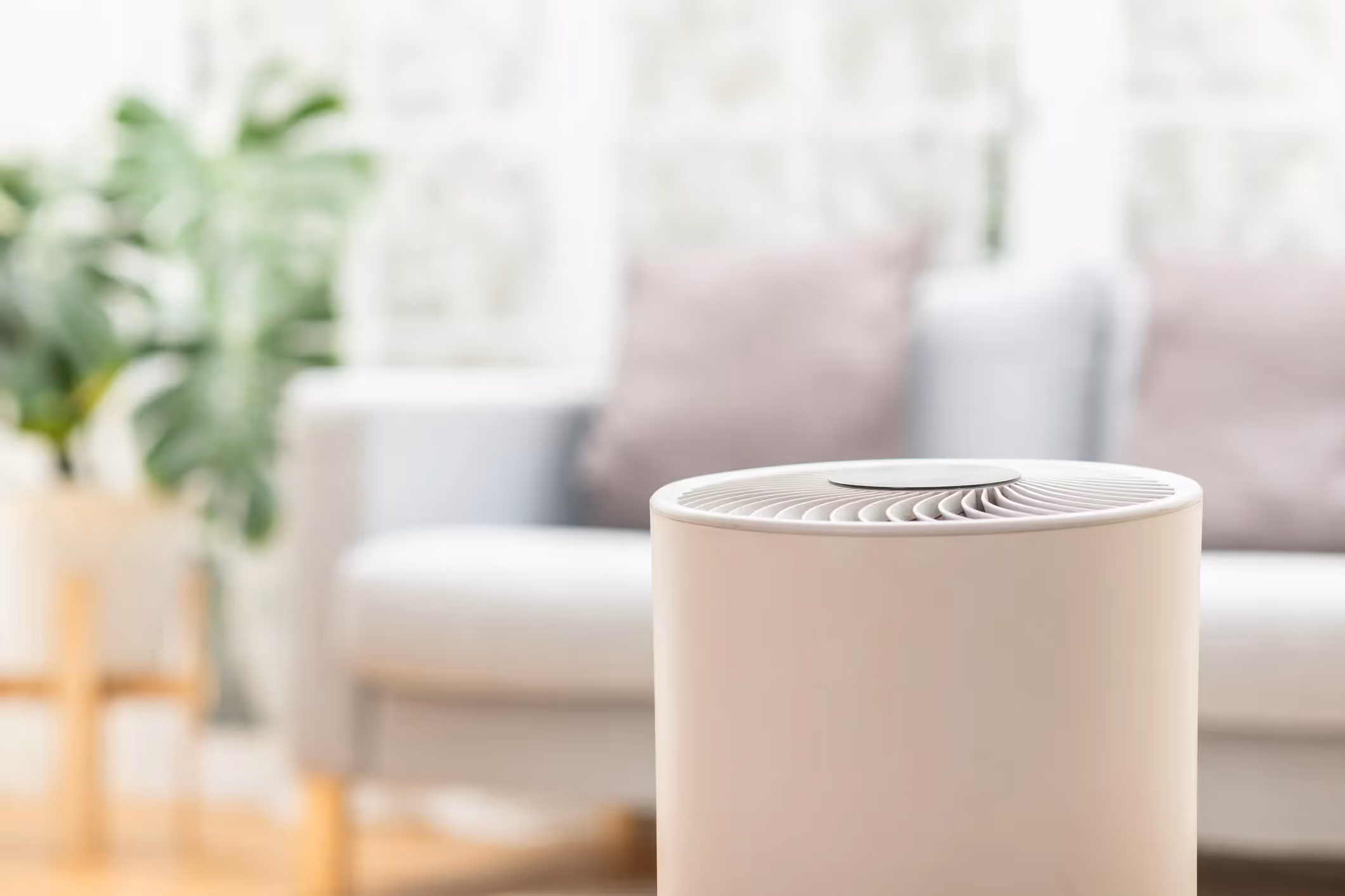 Air Purification in Phoenix, AZ