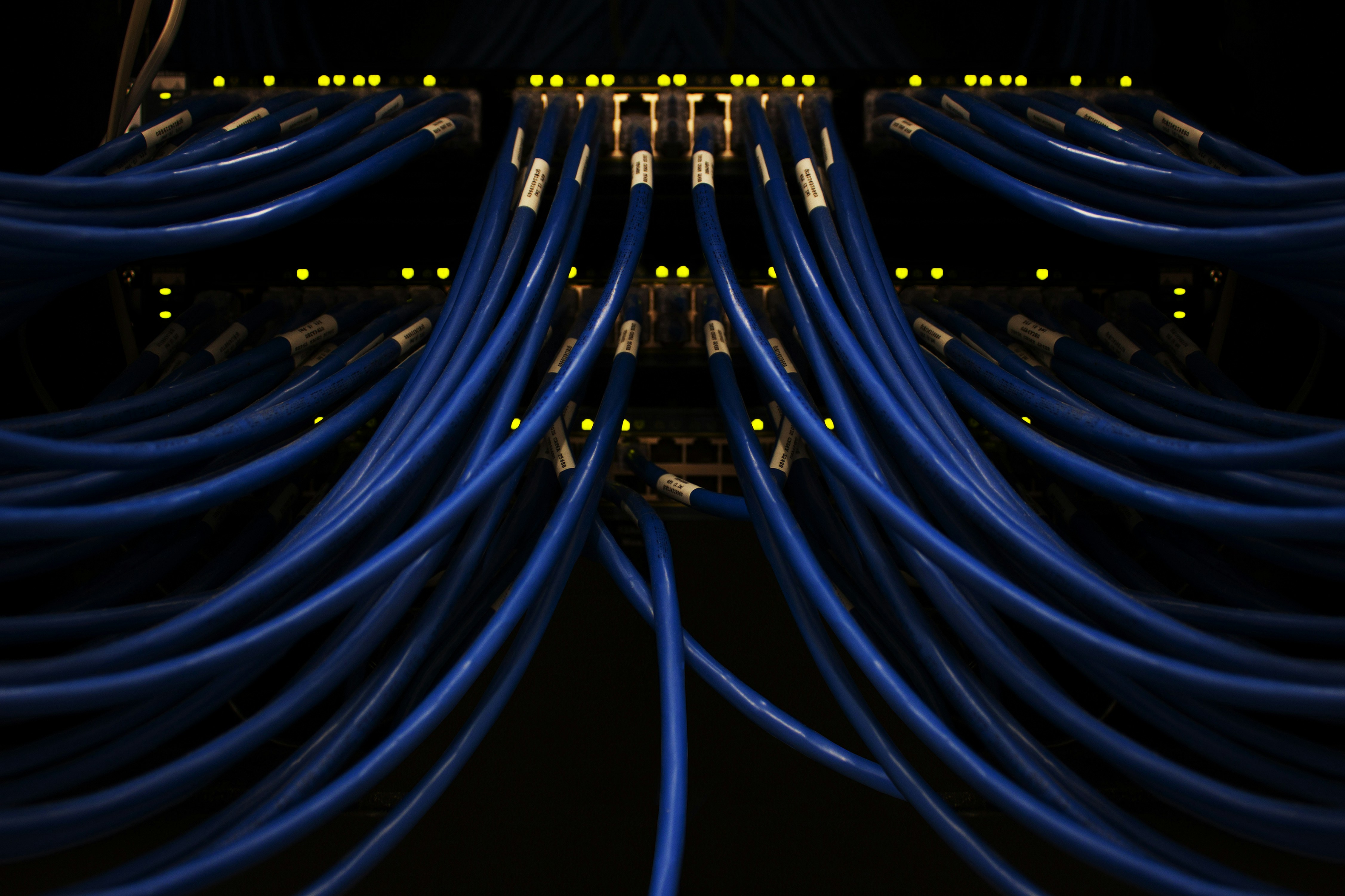 Close-up of organised blue Ethernet cables connected to a network switch with illuminated yellow indicator lights.