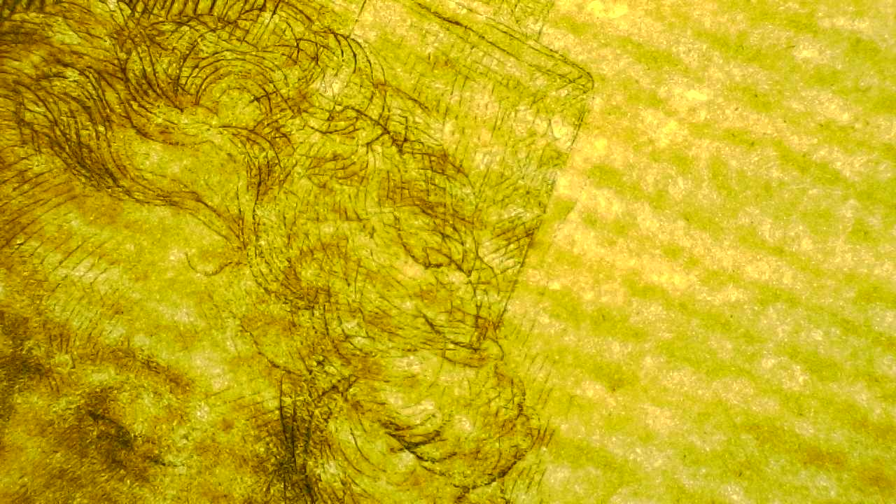 Paper texture transmitted light