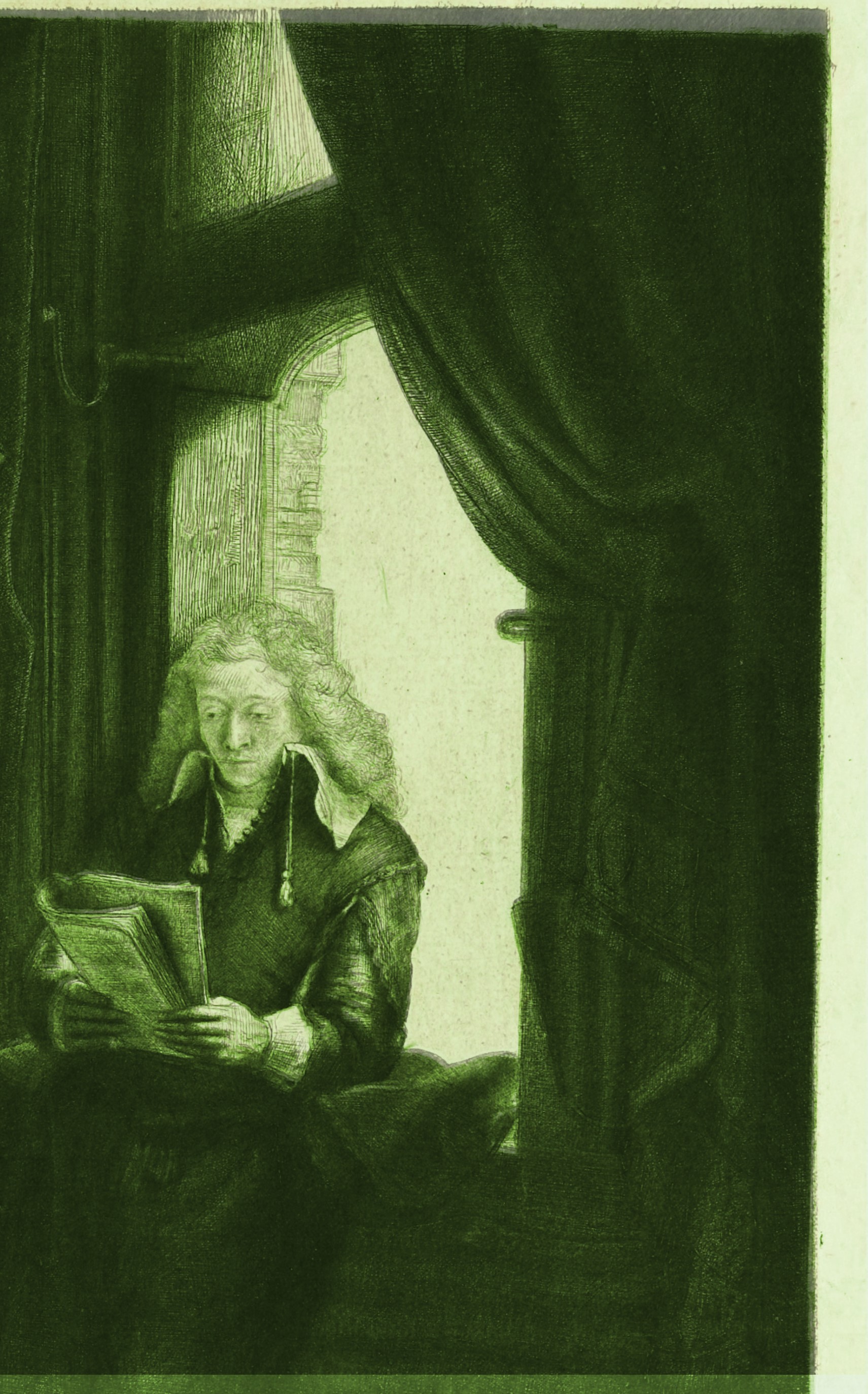 Face and window overlay