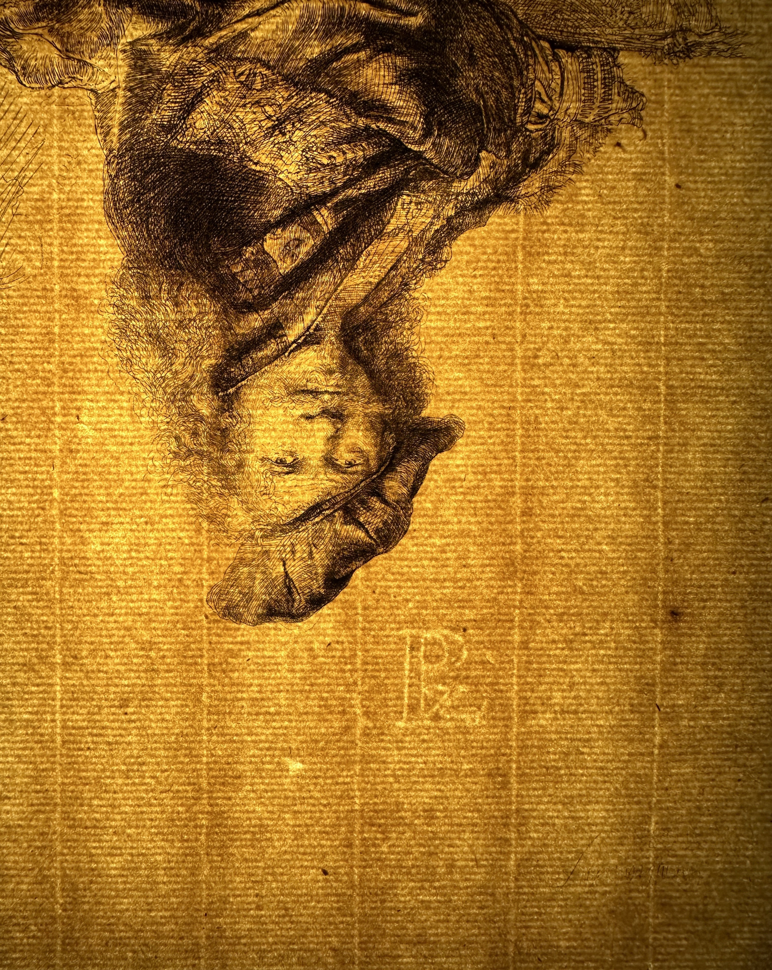 PvL countermark under transmitted light