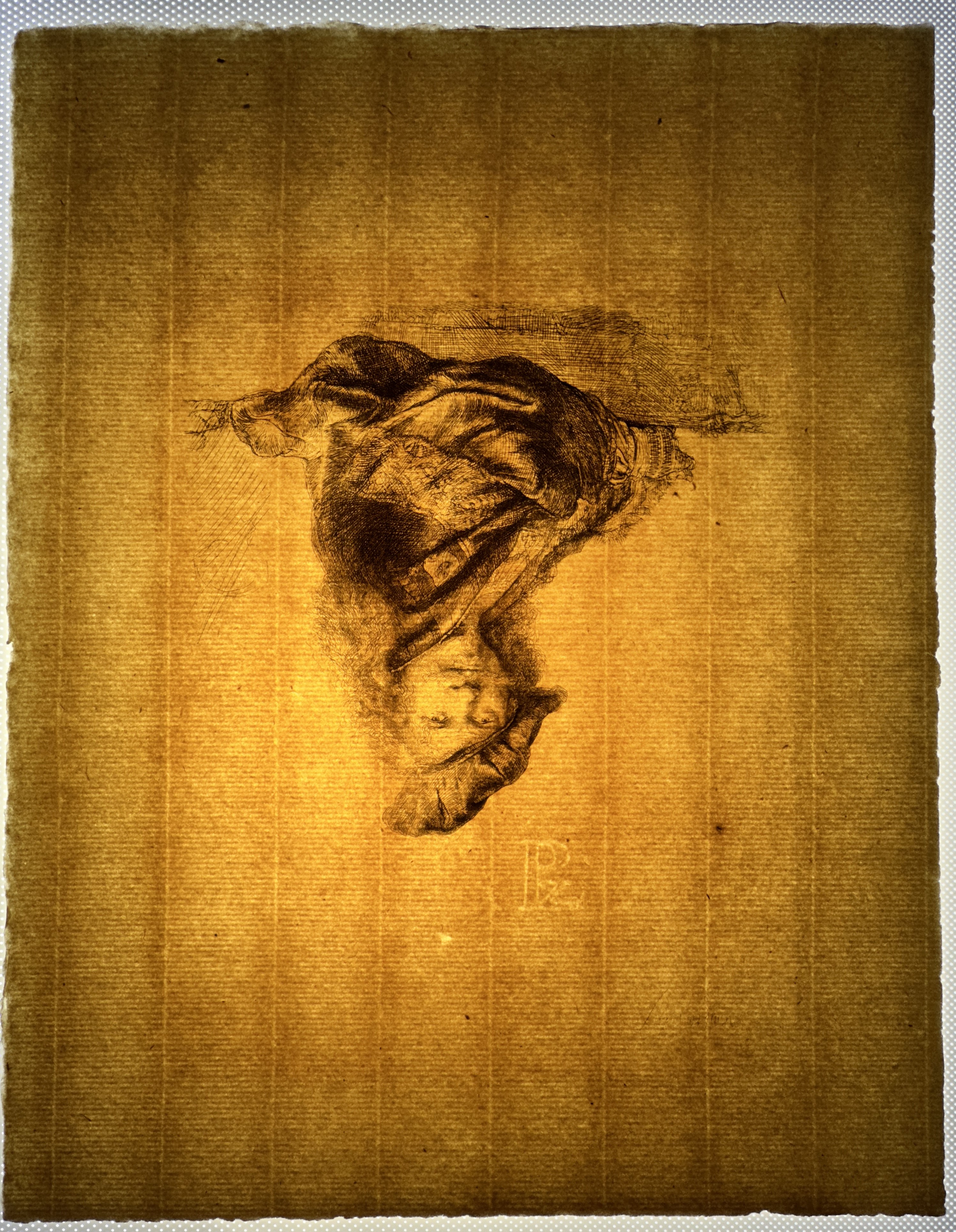 Full sheet (transmitted light).