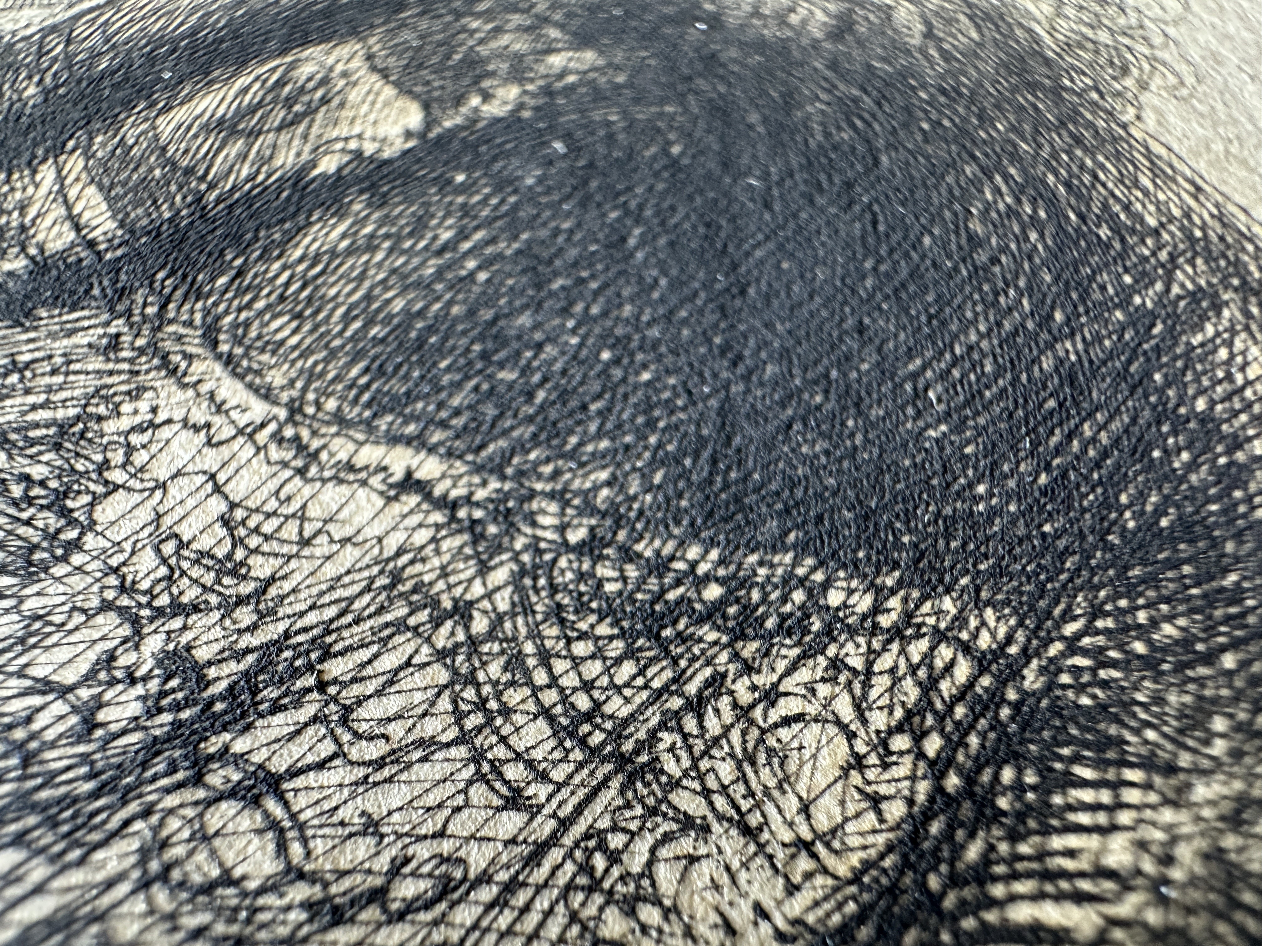 Active burr zones macro close-up