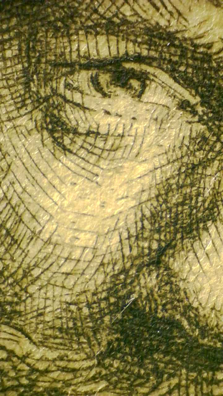 Left eye and nose detail