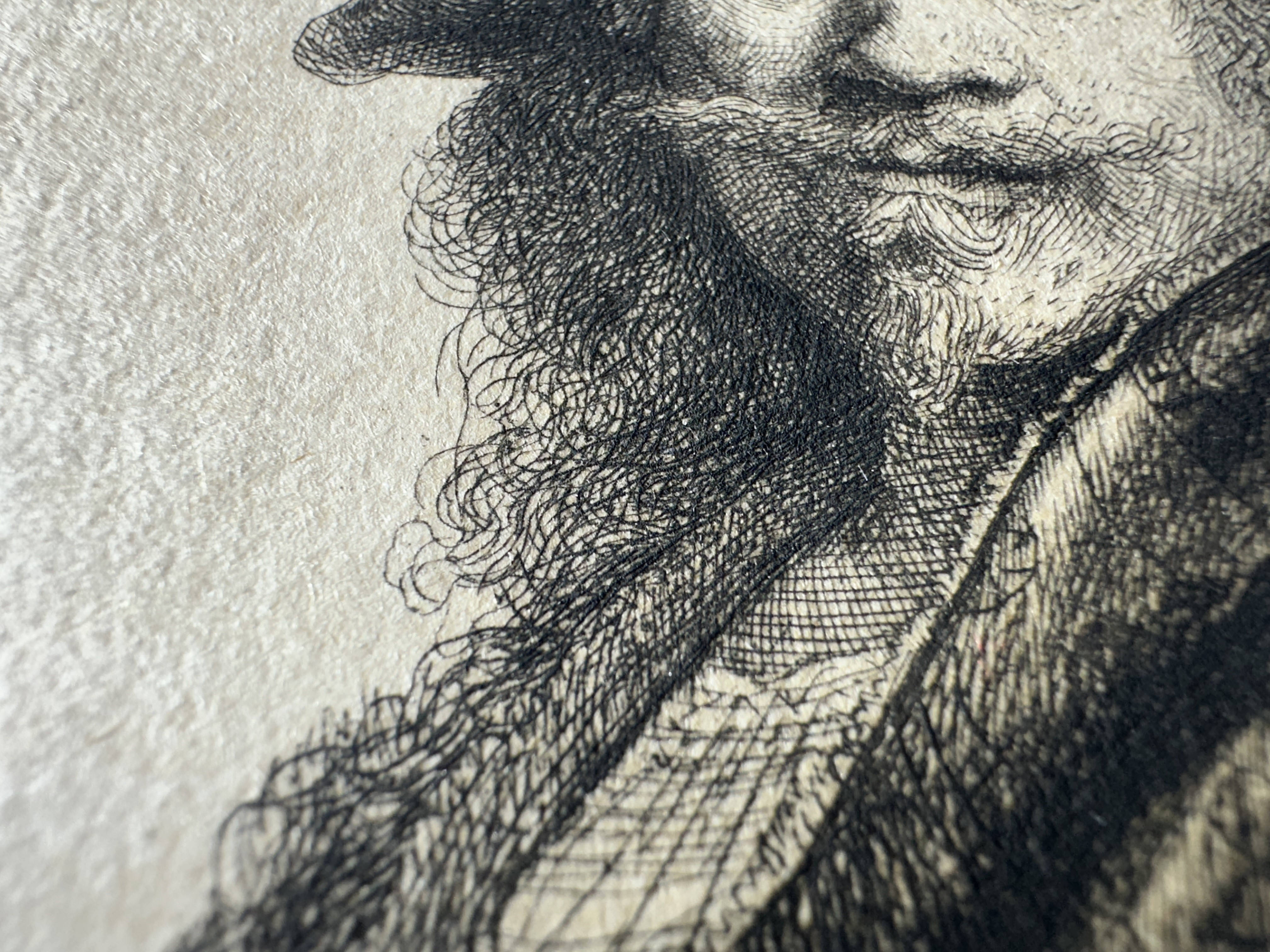 Hair and jacket (macro).