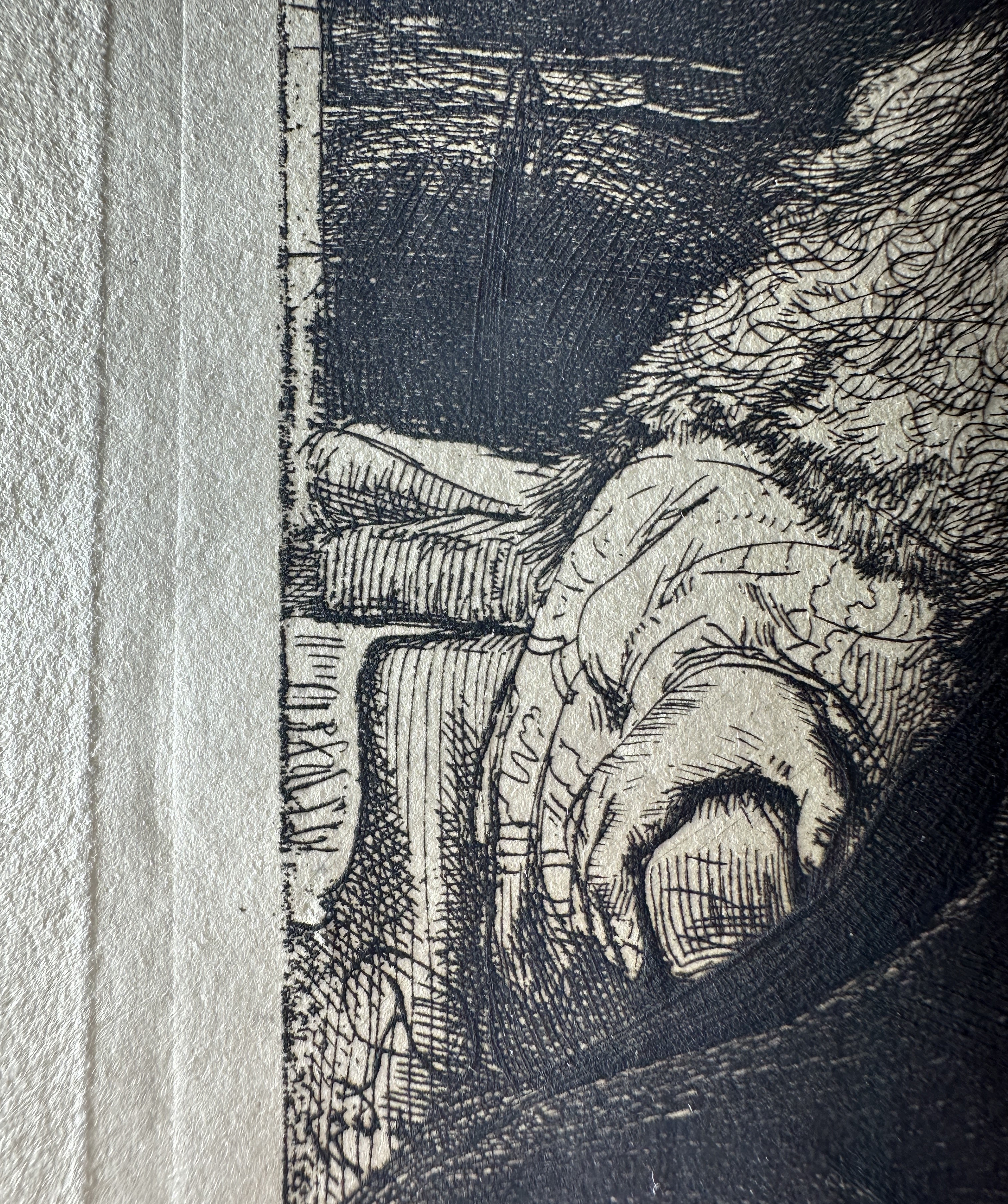 Technique 5 — Burr under grazing light