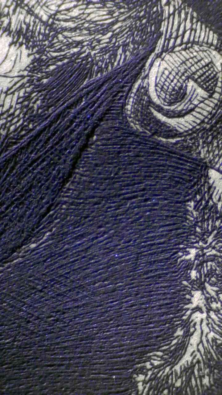 Microscopy — Handwritten-Like Line Detail (Grazing Light)