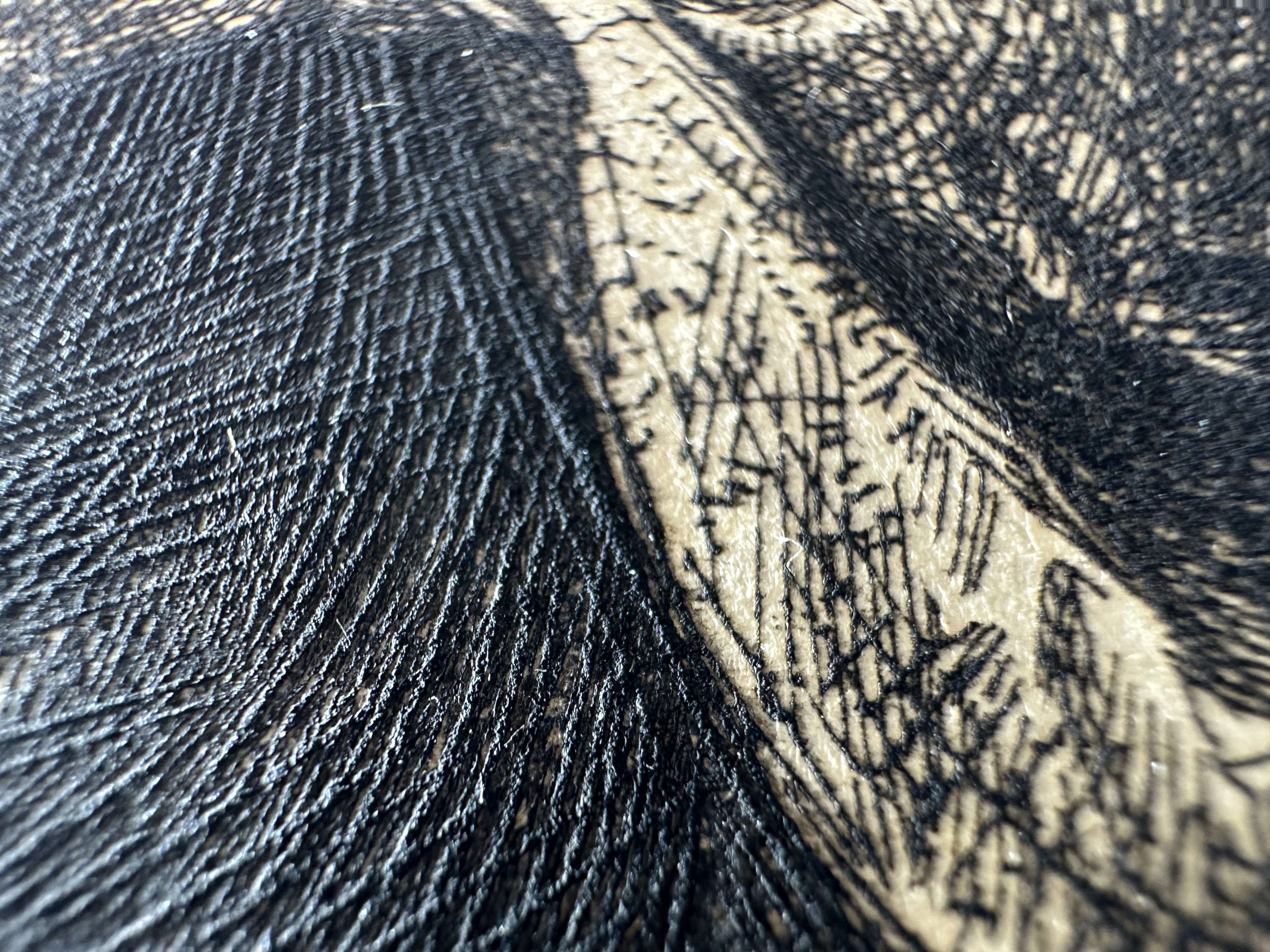 Macro Burr — Lower Dress, Central Area