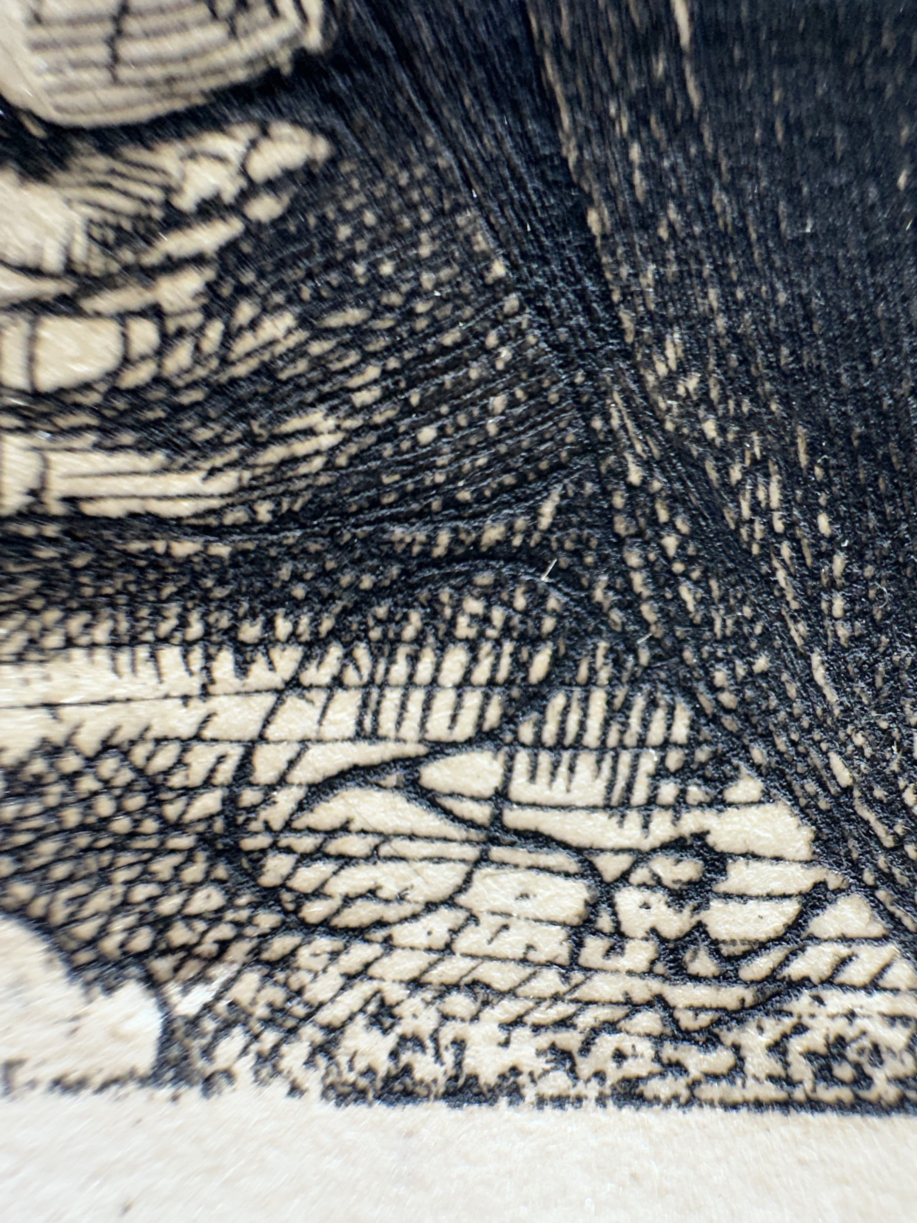 Macro Burr — Signature