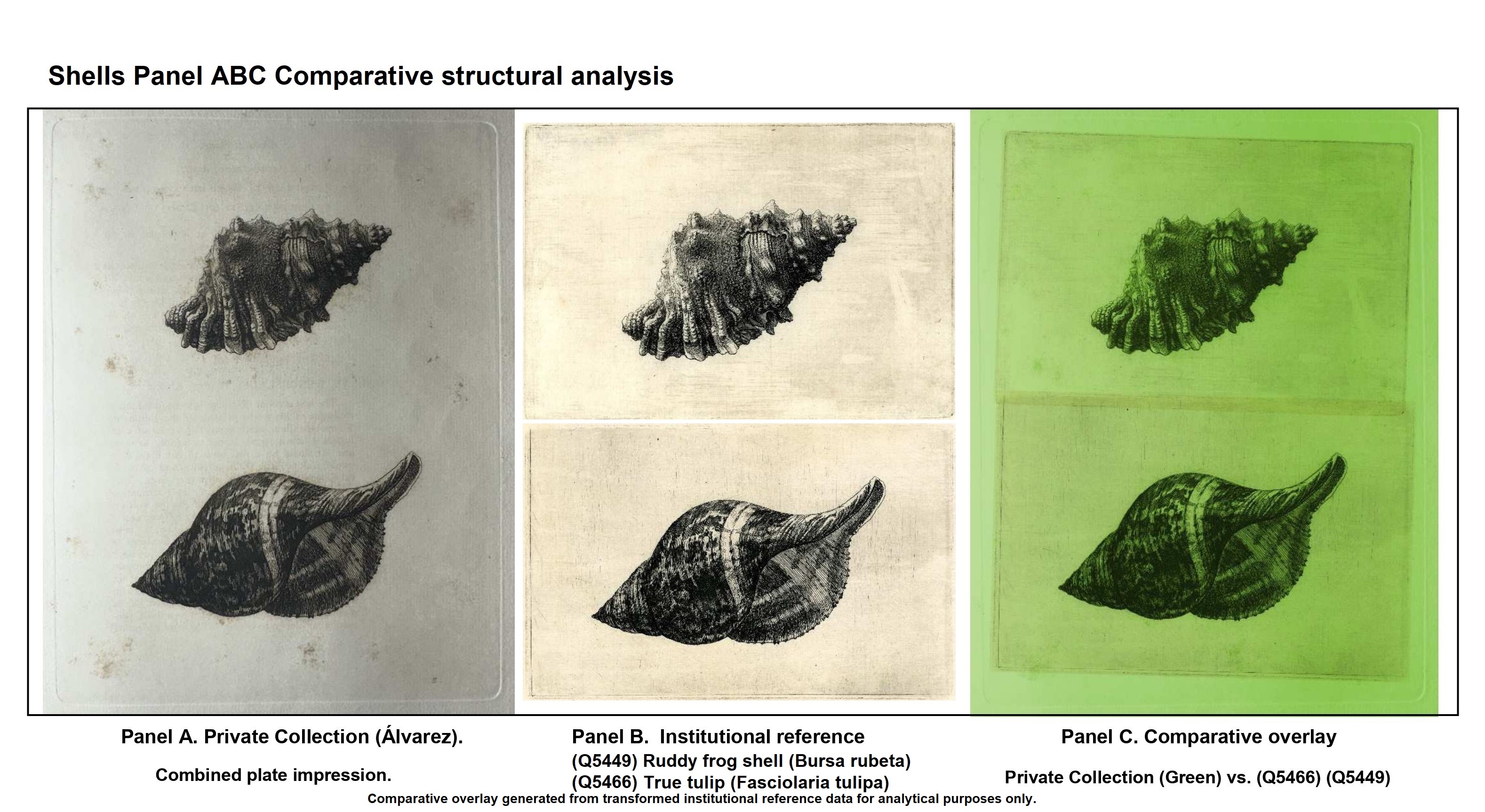 Panel A/B/C comparative structural analysis 
