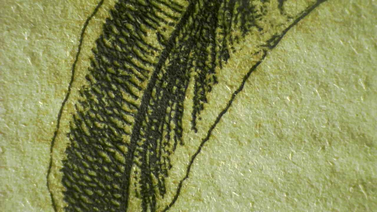 True tulip Microscopy detail.3