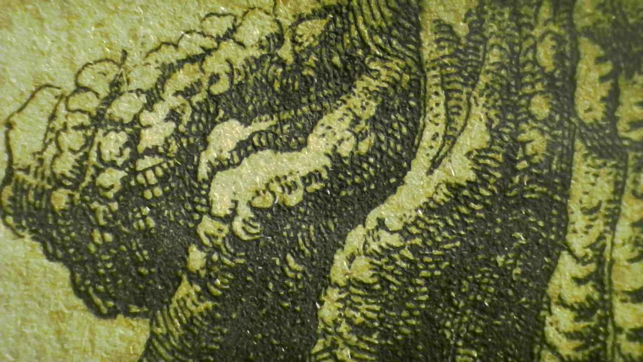 Ruddy Frog Microscopy detail.1