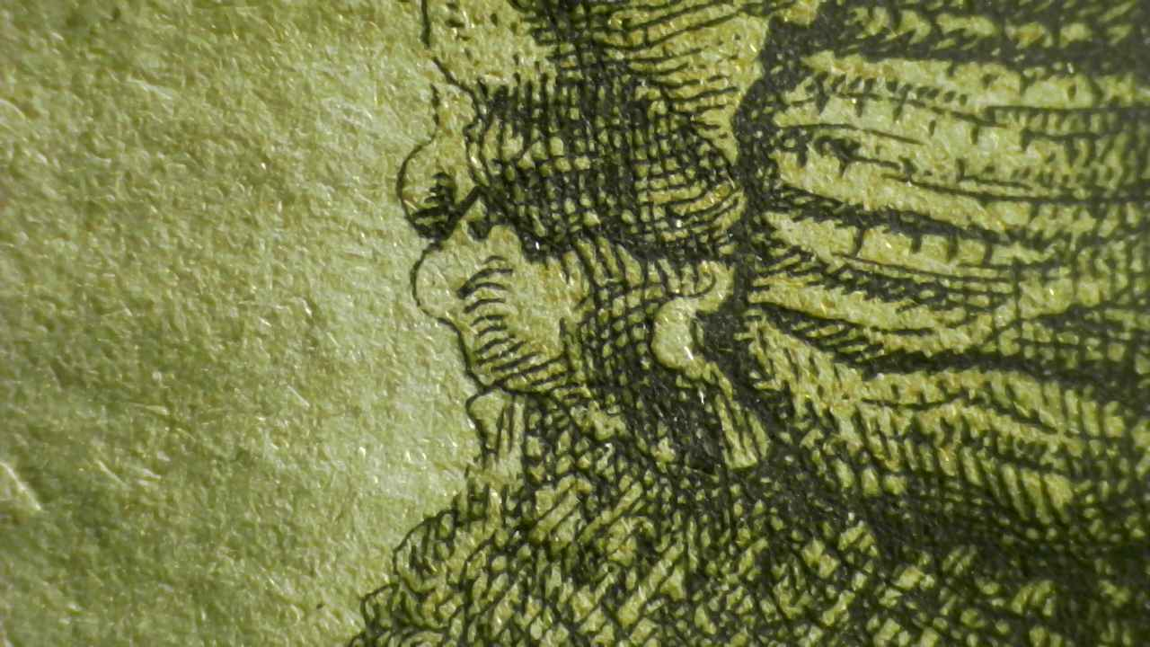 Ruddy Frog Microscopy detail.2