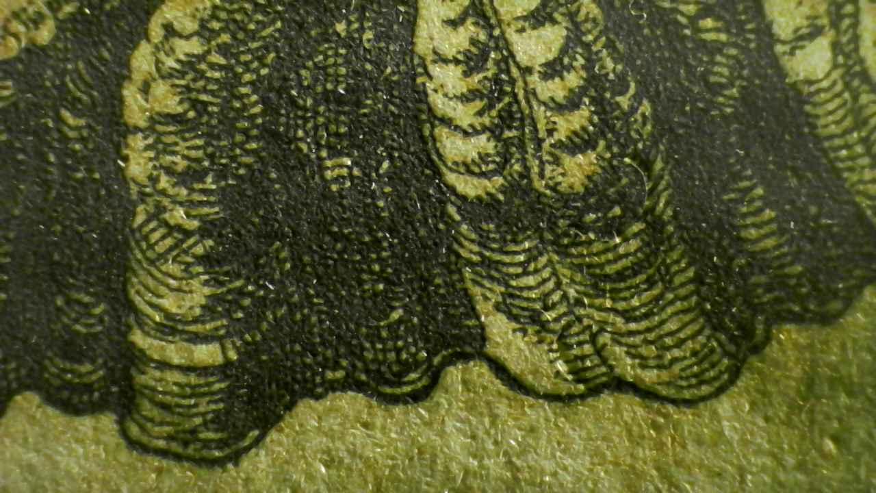 Ruddy Frog Microscopy detail.4