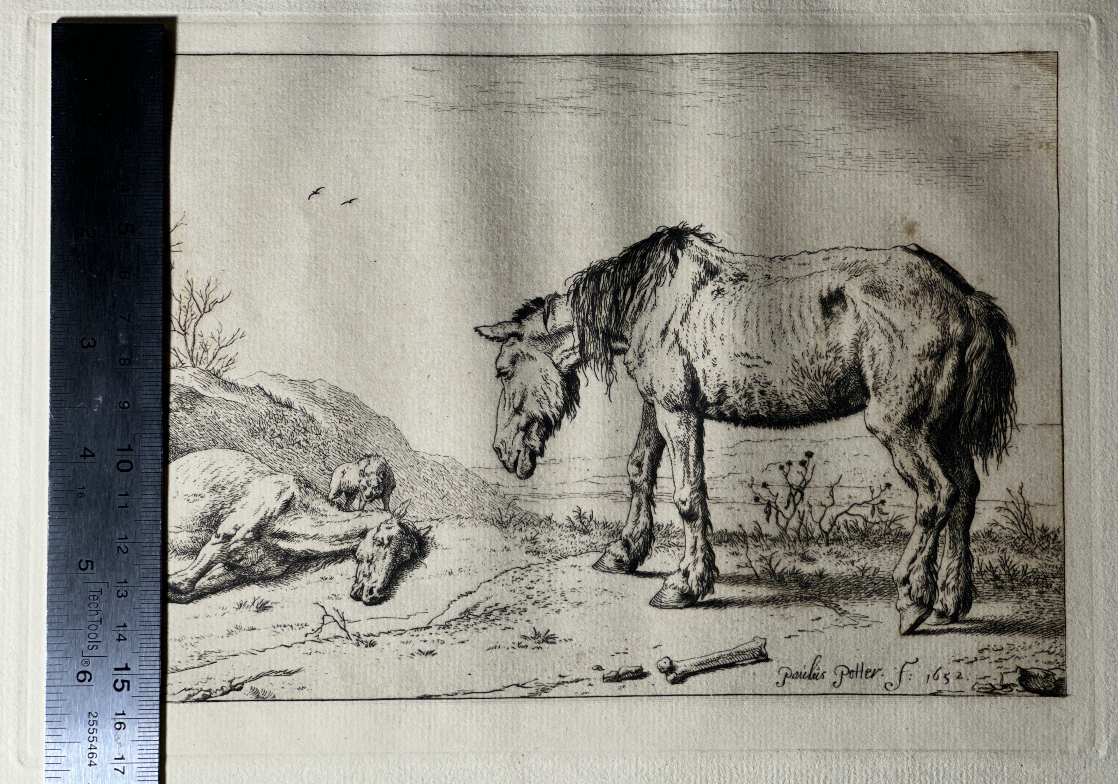 Plate height 165 mm.