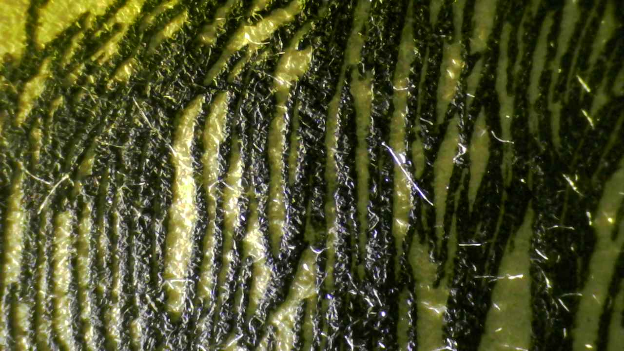 Raking light — detail