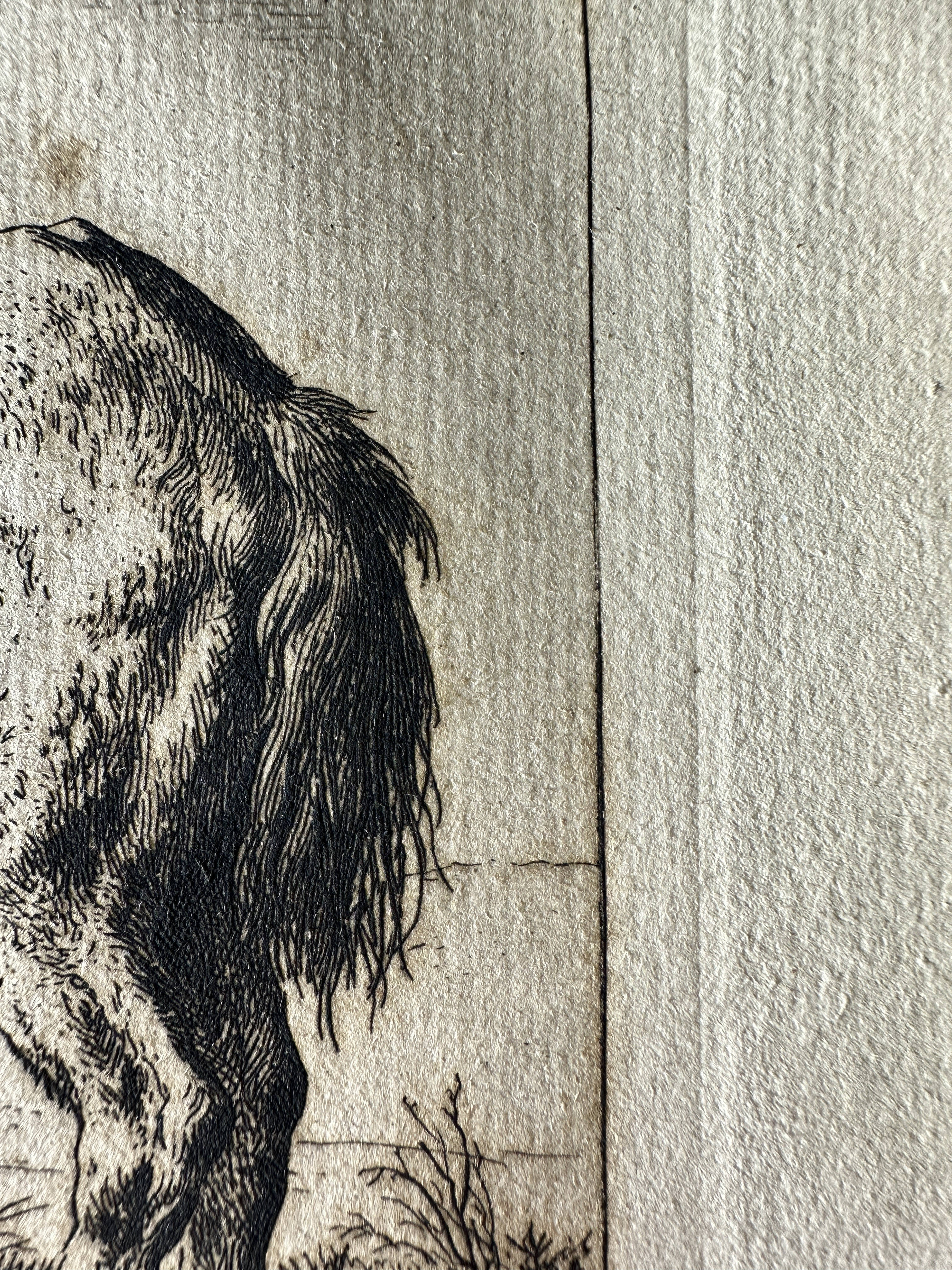 Plate mark center right