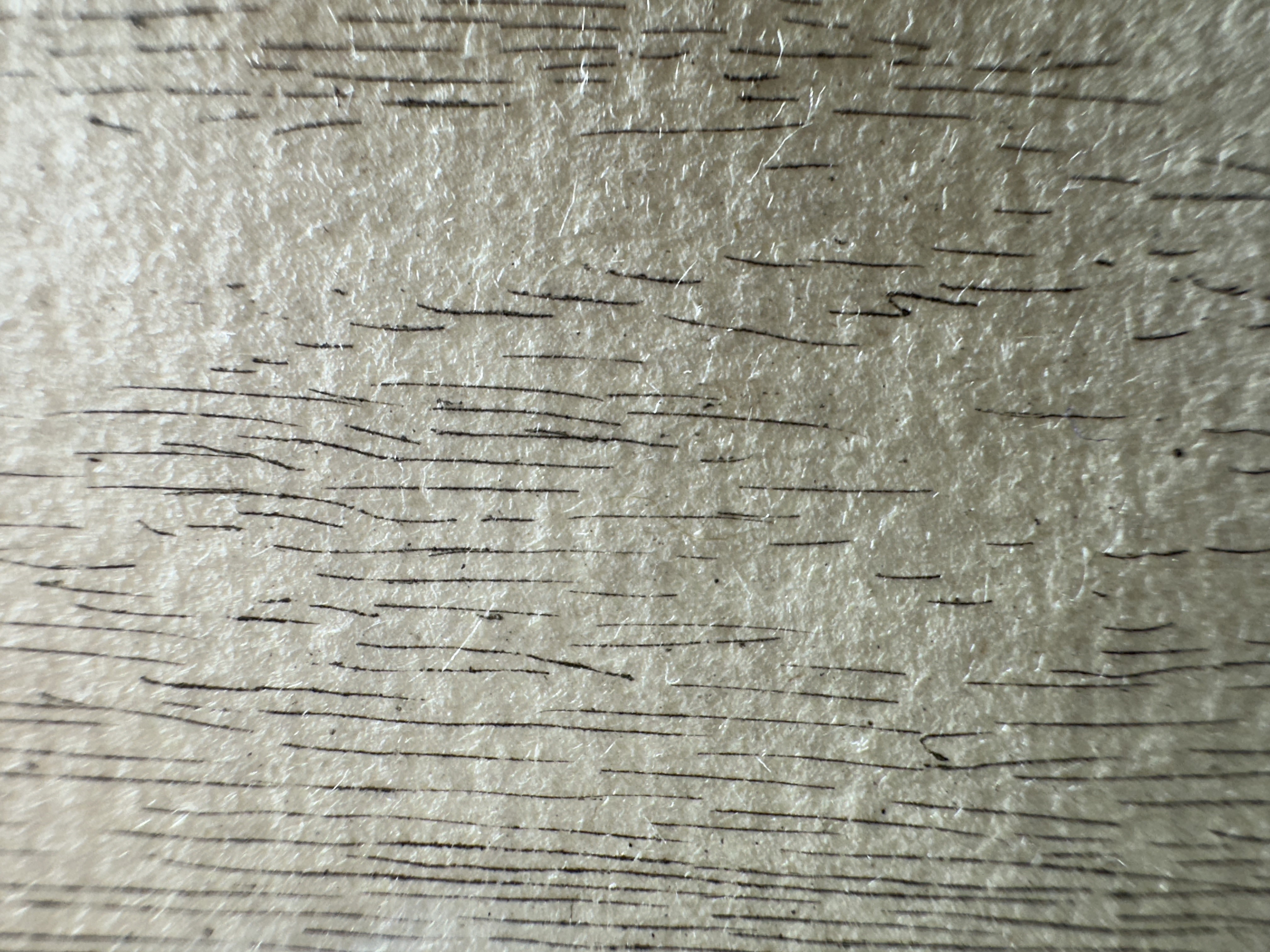 Macro Details fig 11