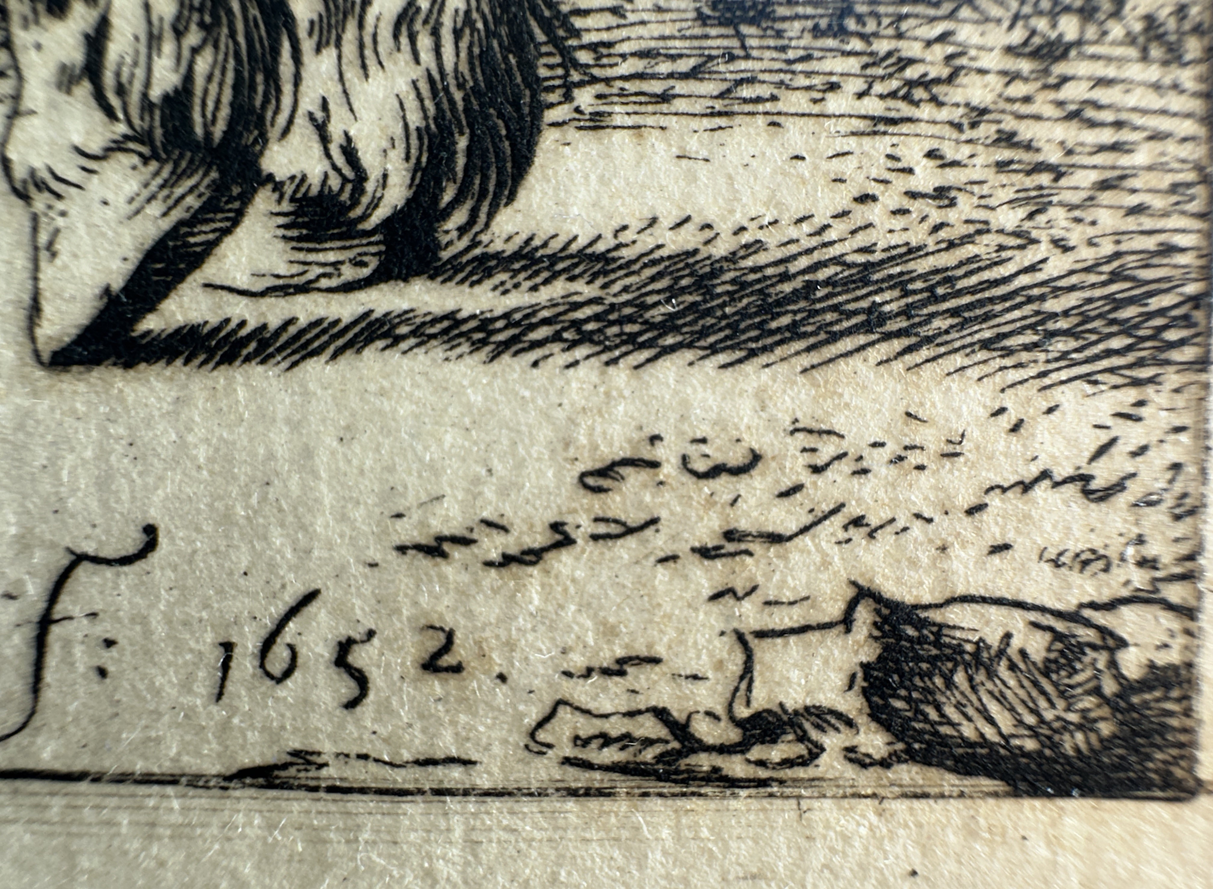 Macro Details fig 18