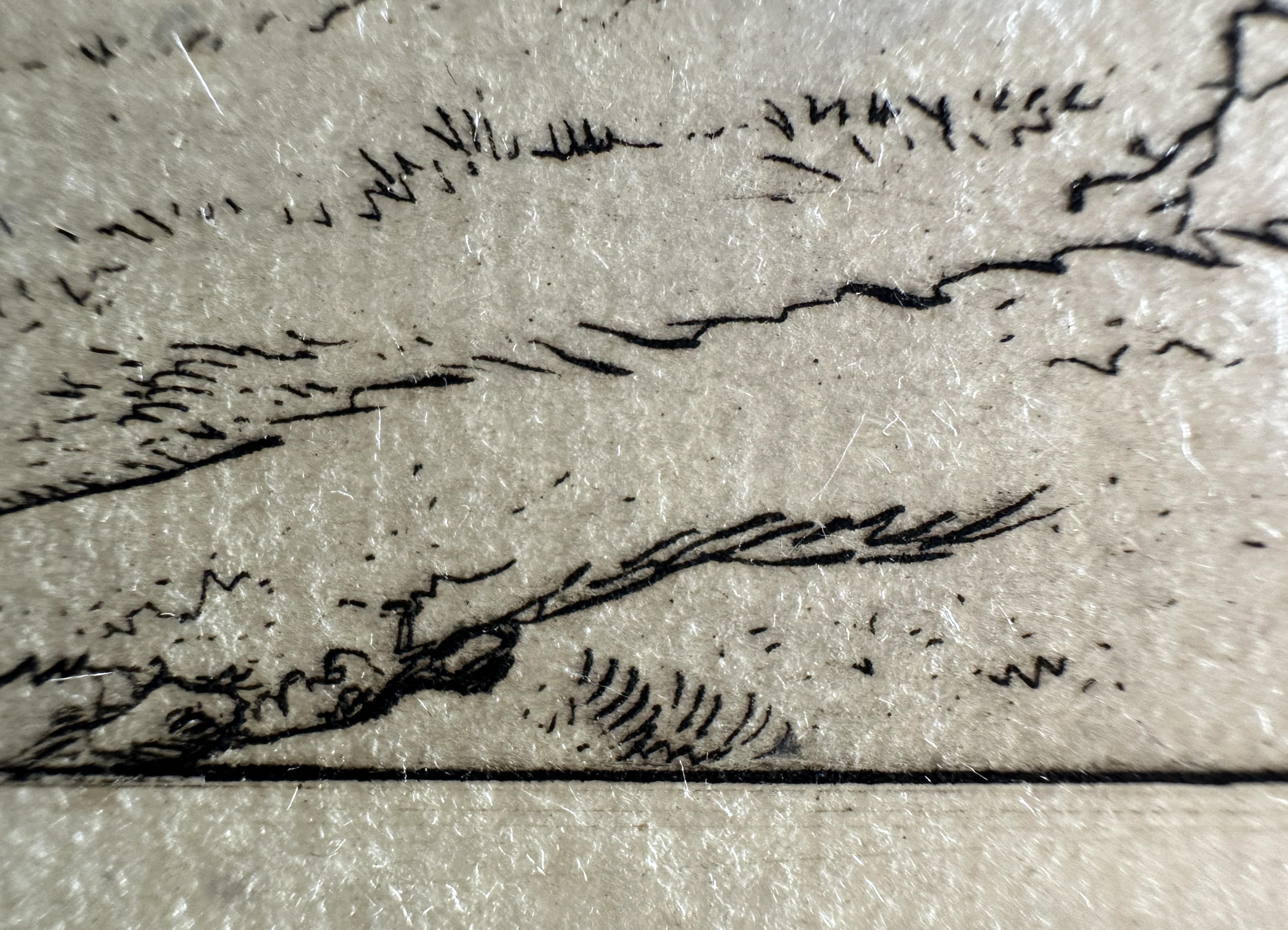 Macro Details fig 25