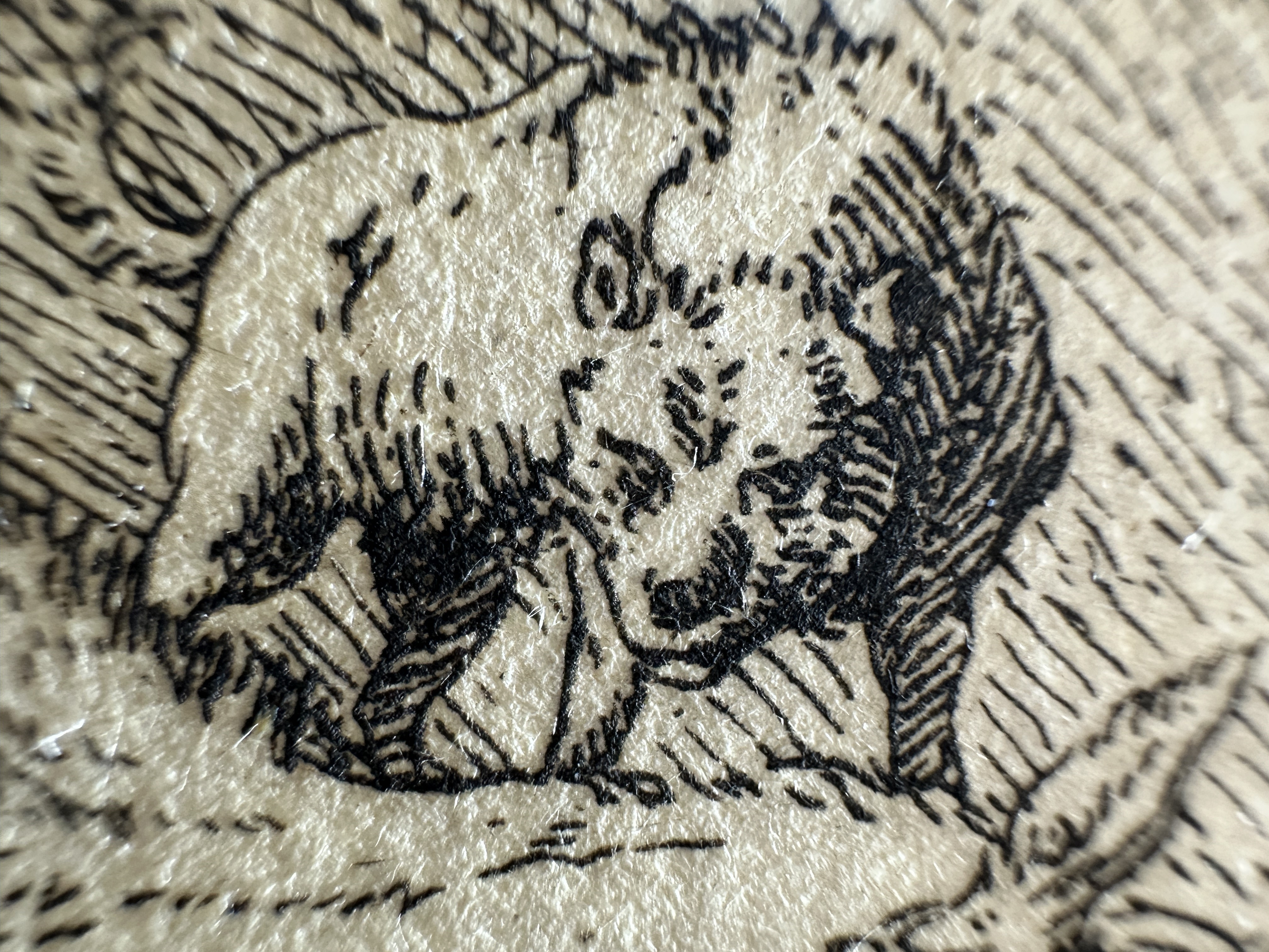 Macro Details fig 22