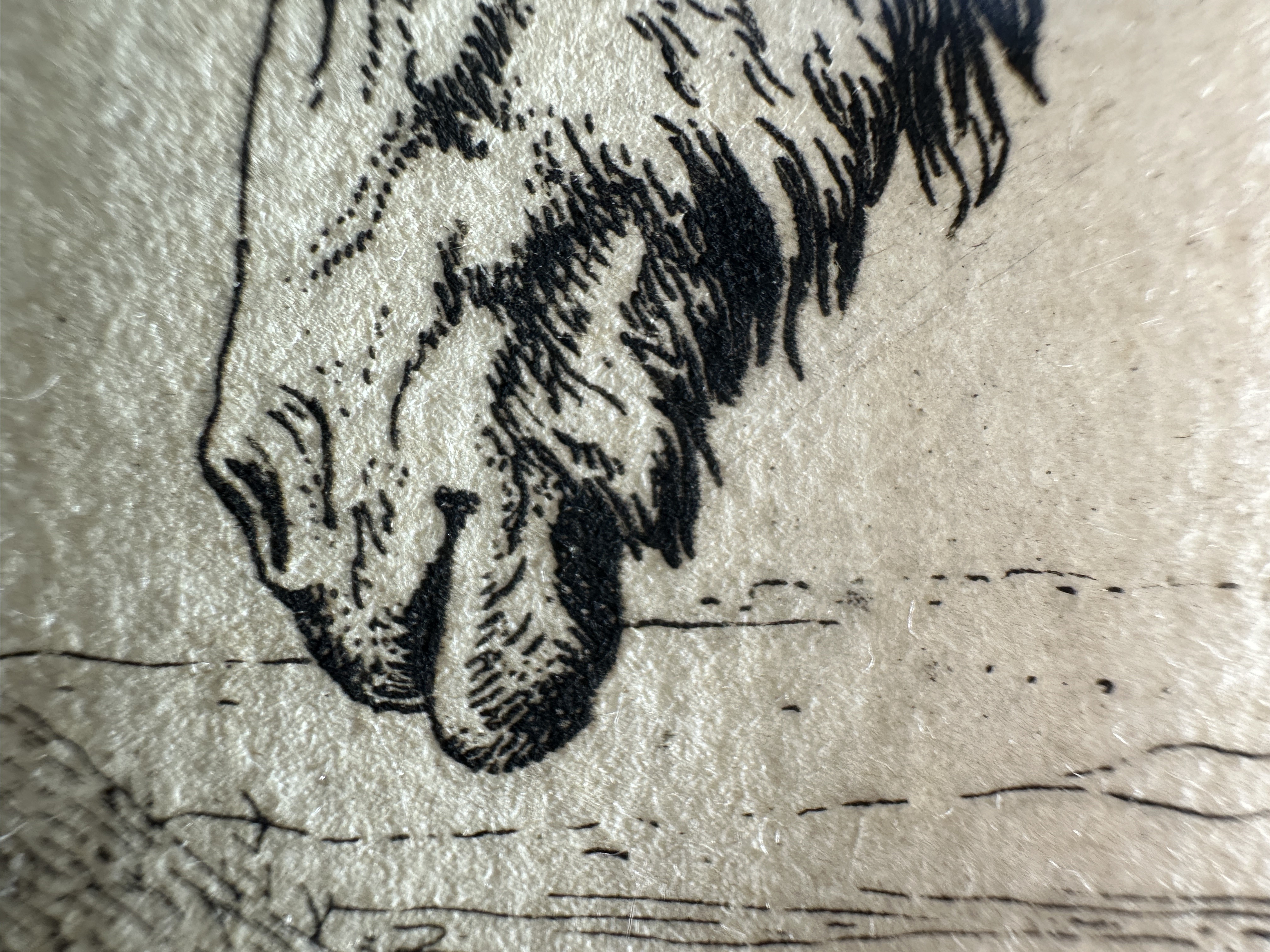 Macro Details fig 21