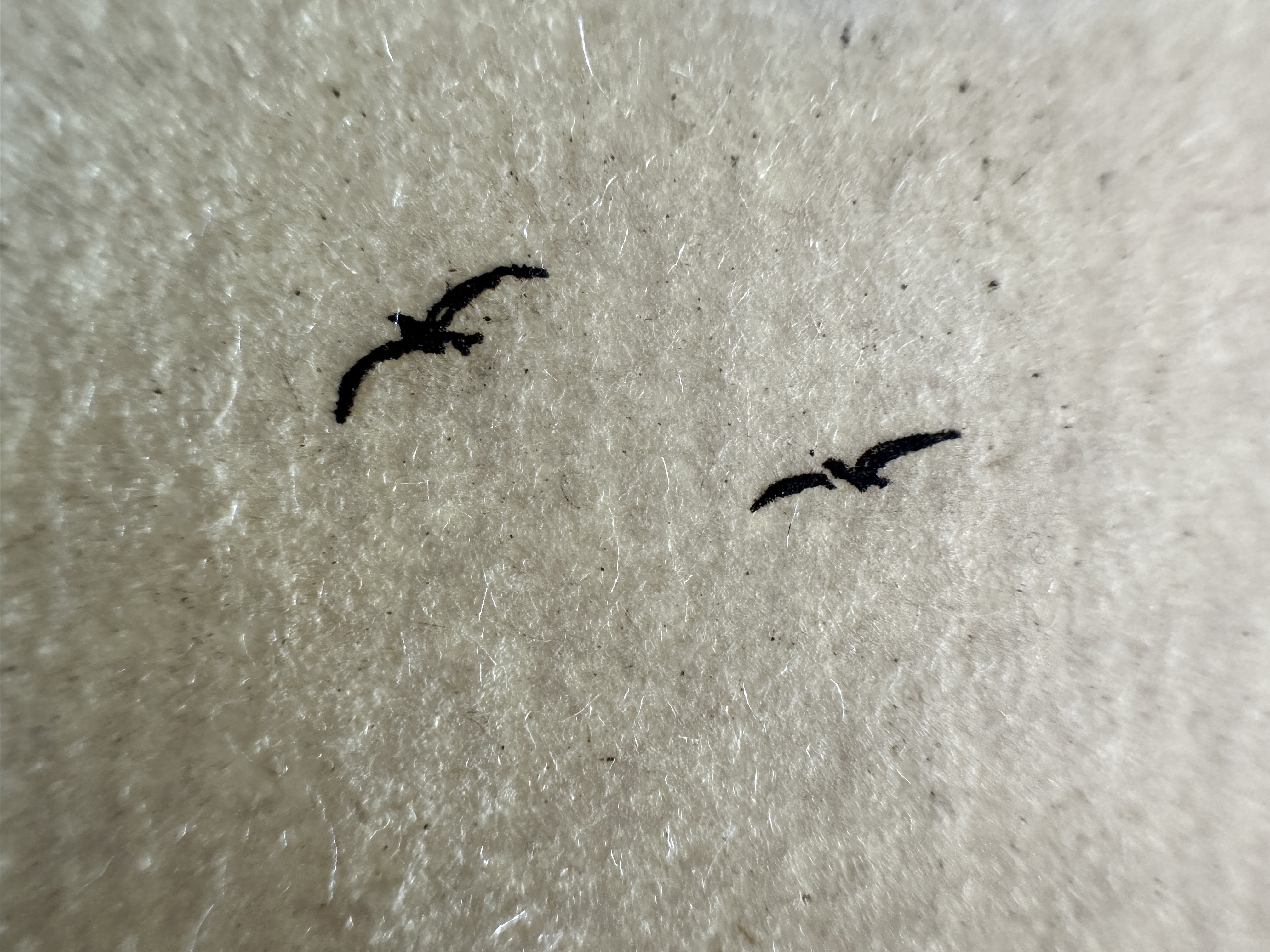 Macro Details fig 27