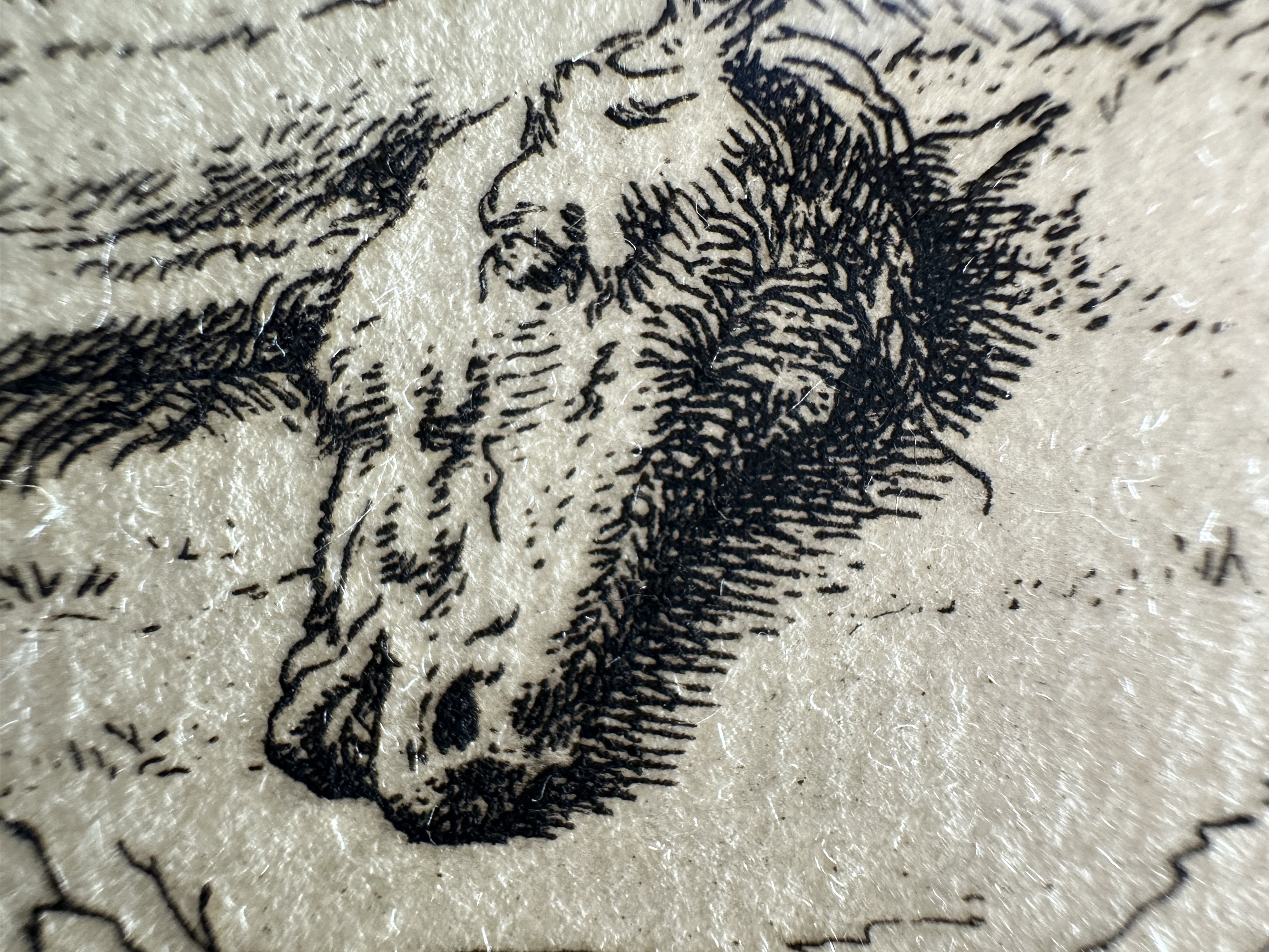 Macro Details fig 23