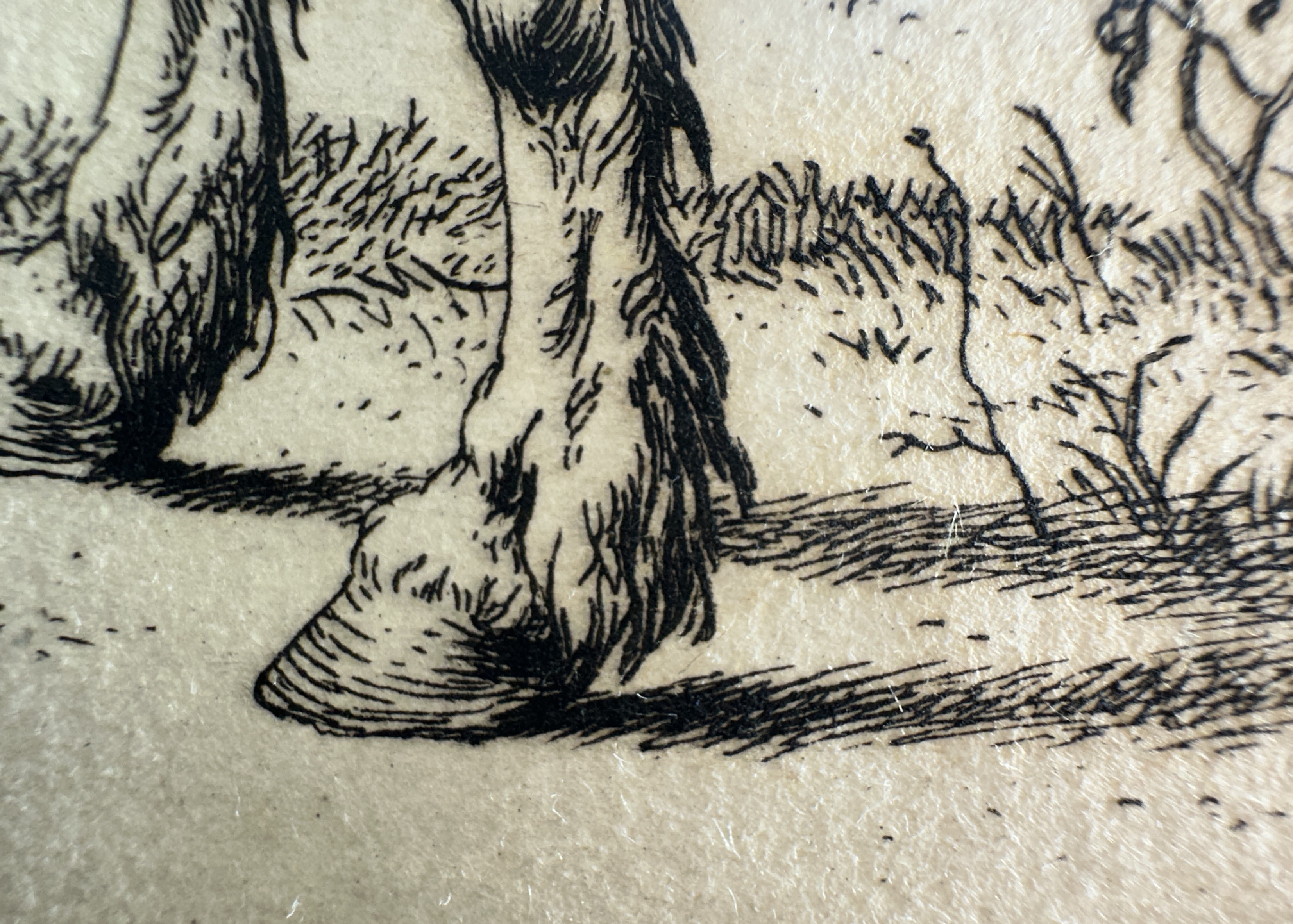 Macro Details fig 20