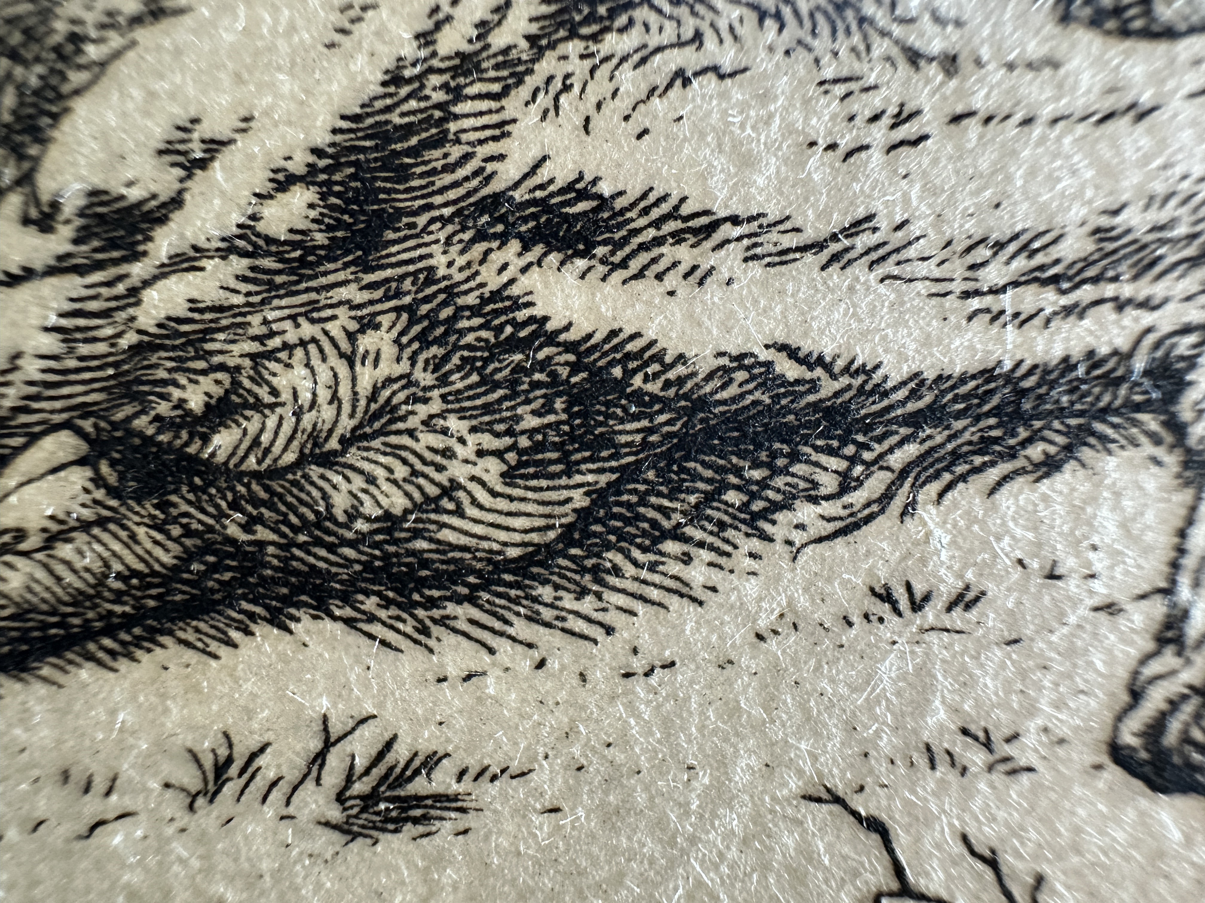 Macro Details fig 24