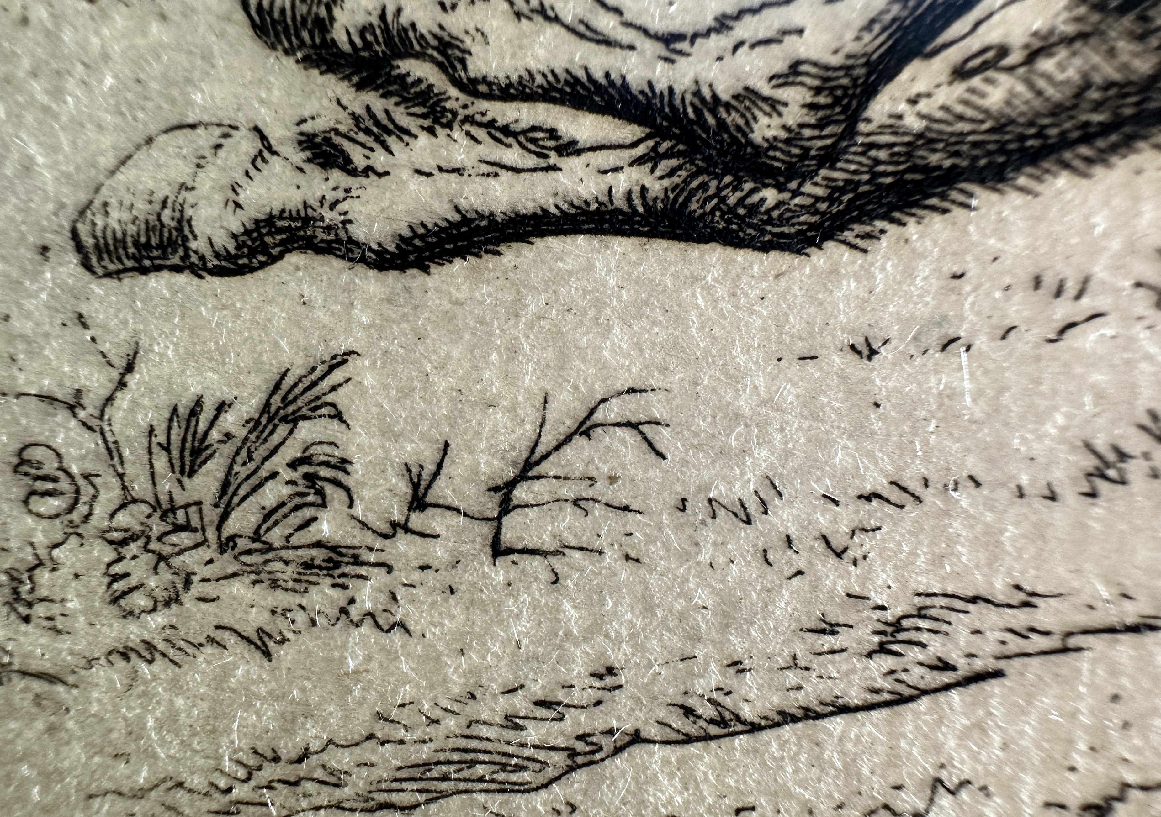 Macro Details fig 26