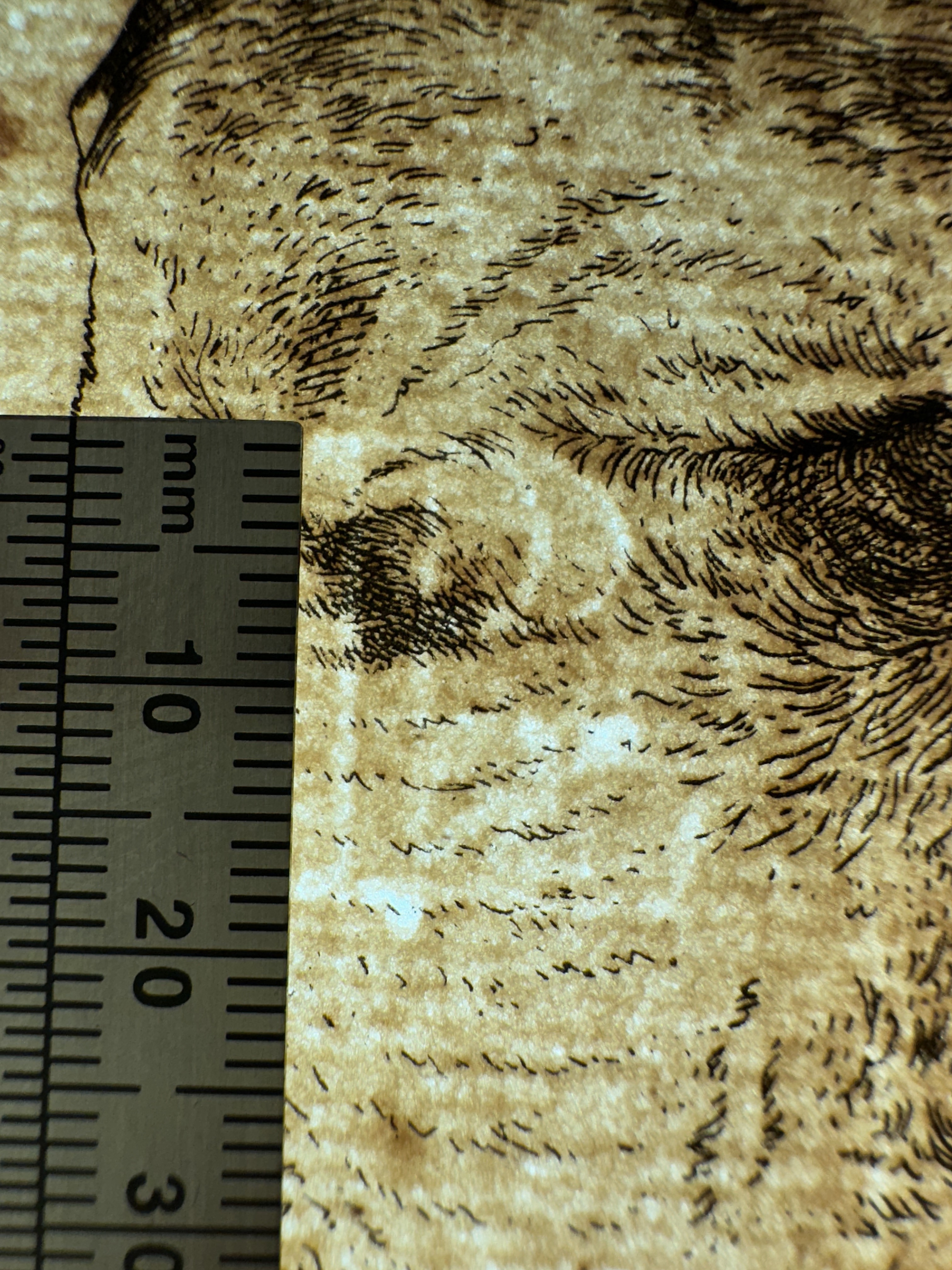 Filigree, Height 18mm