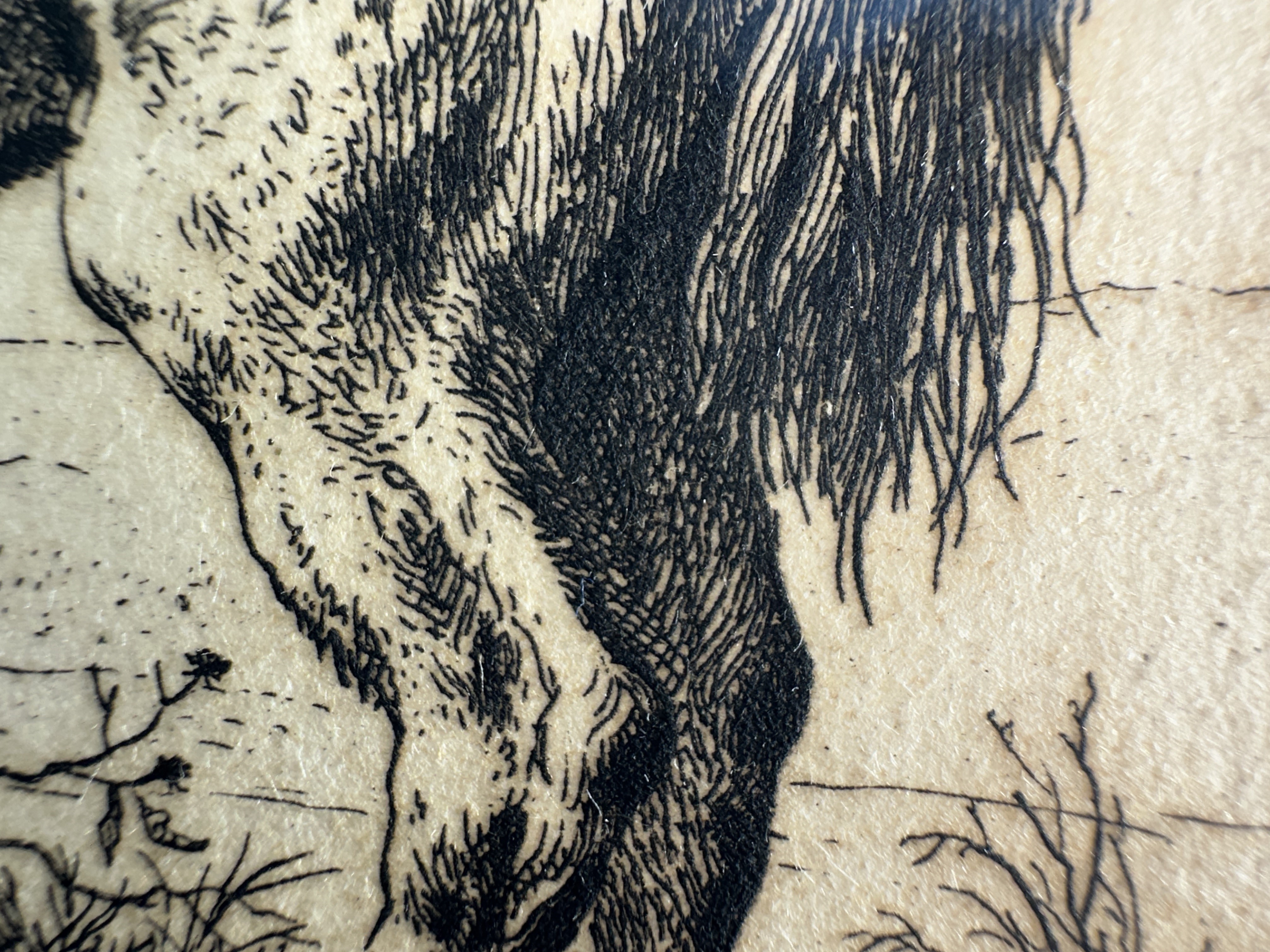 Macro Details fig 15