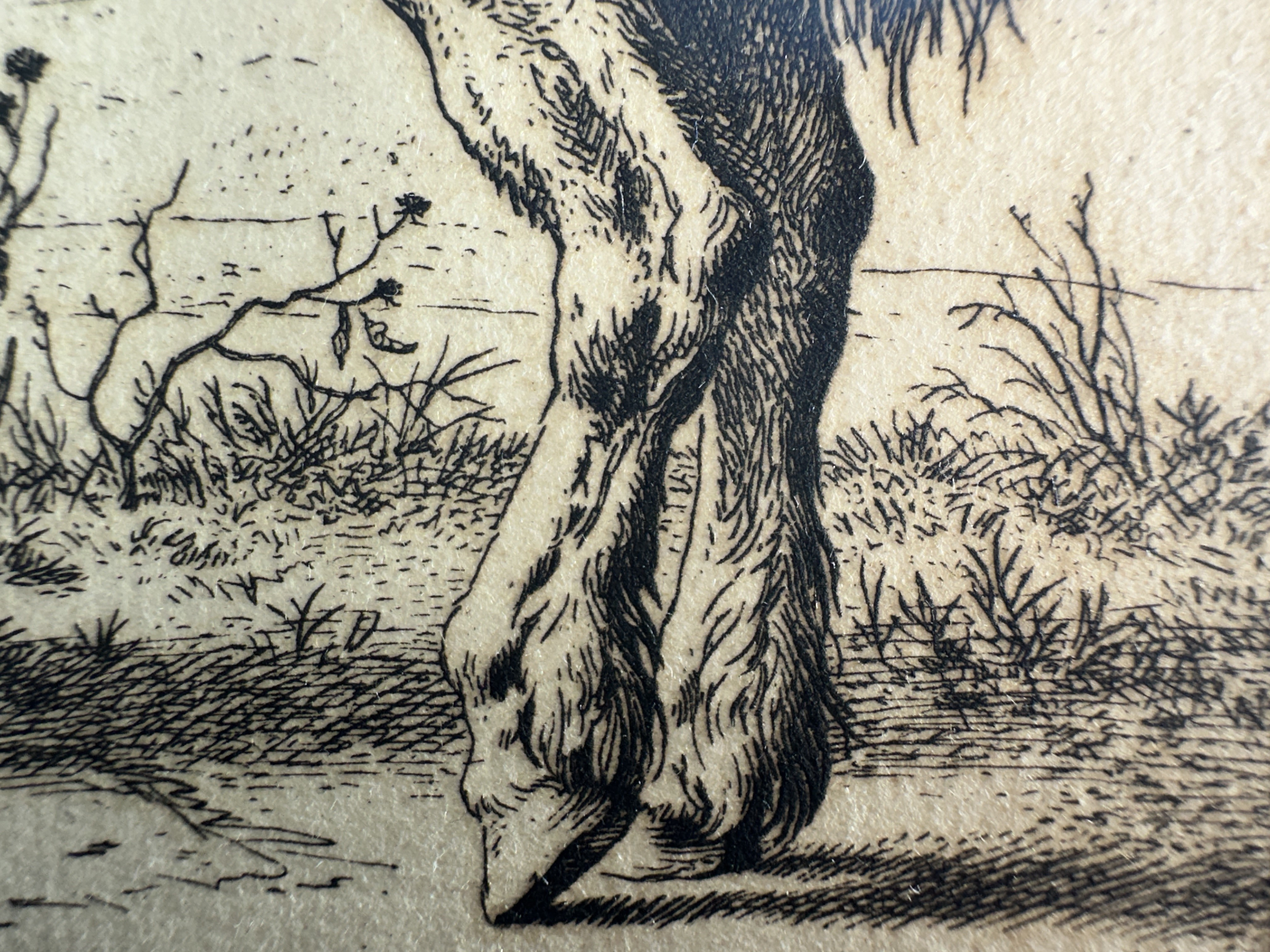 Macro Details fig 17