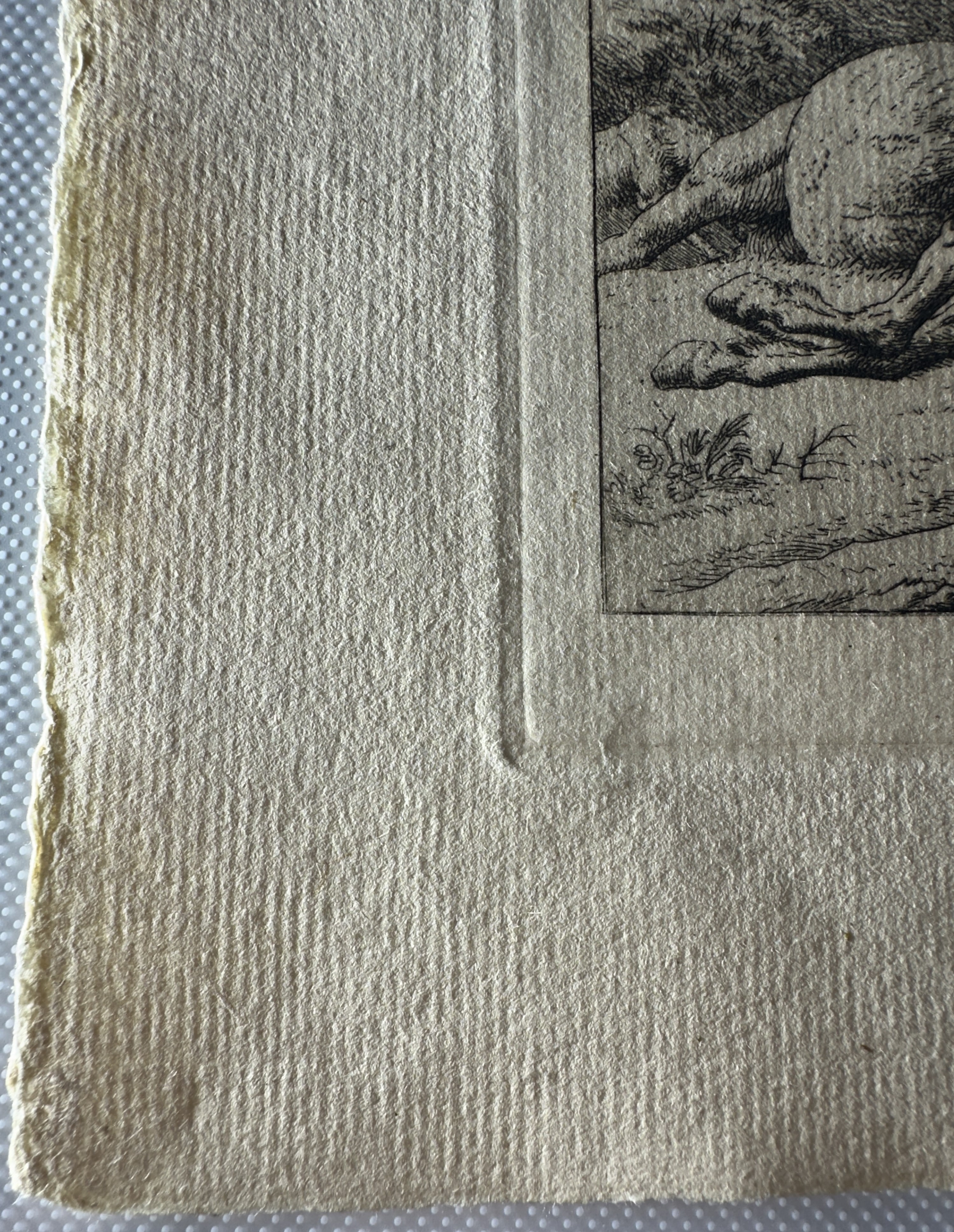 Plate mark lower left corner