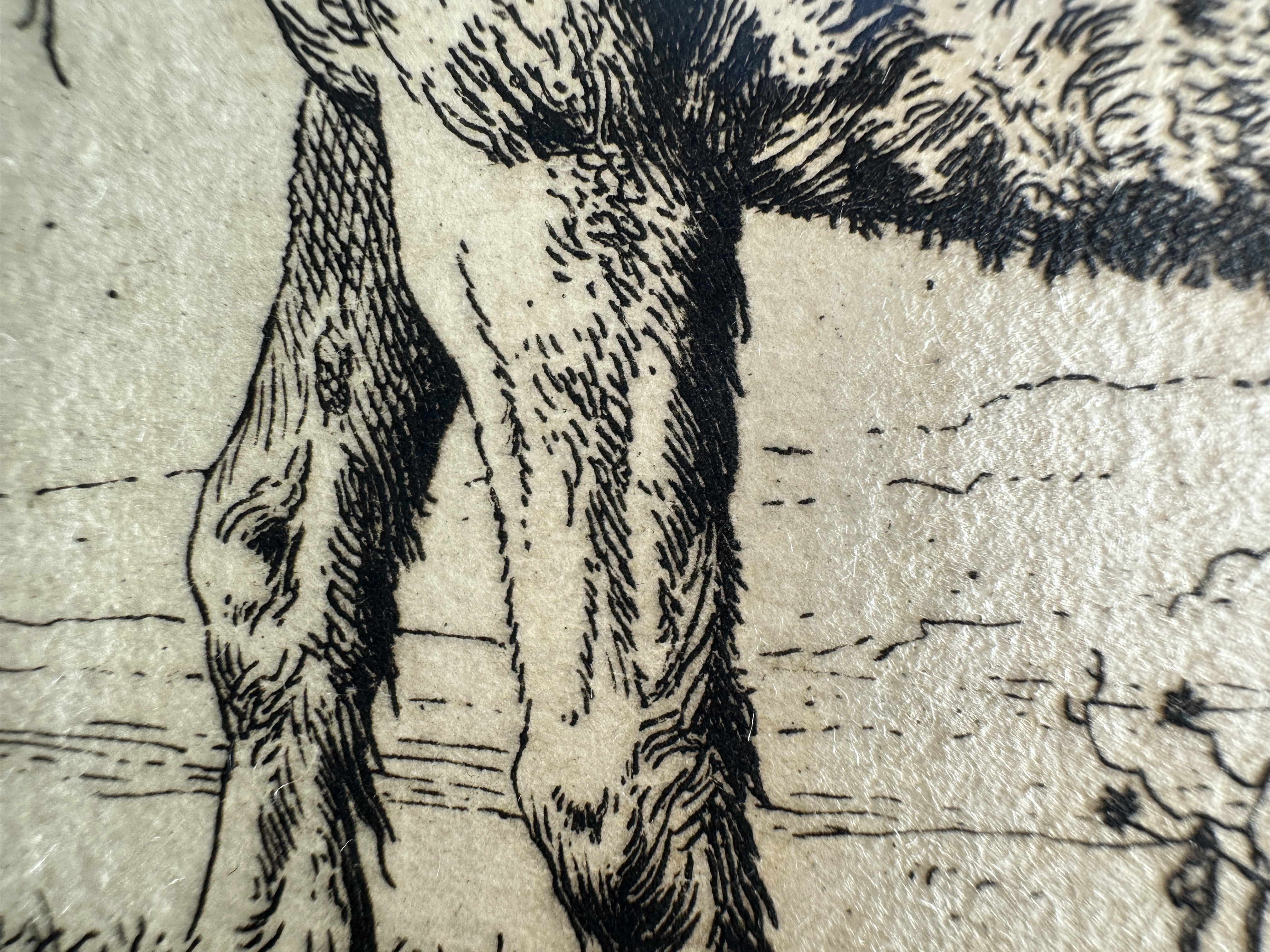 Macro Details fig 16