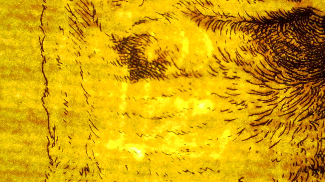 Paper texture microscope.