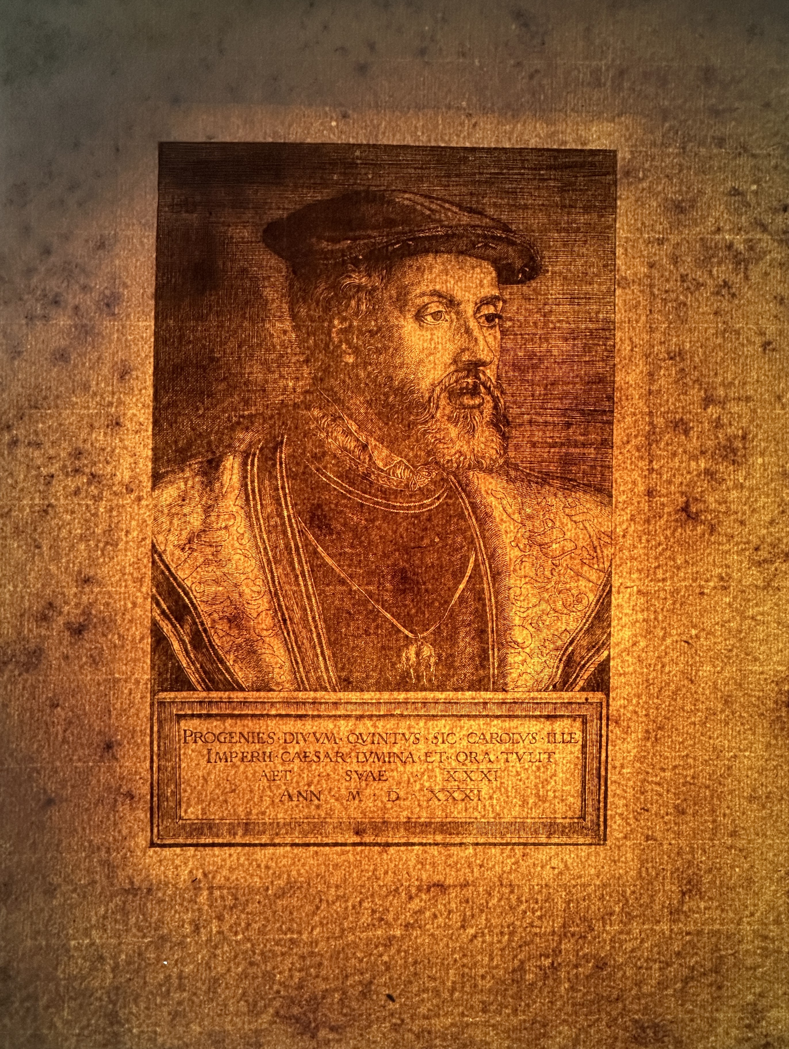 Full sheet in transmitted light