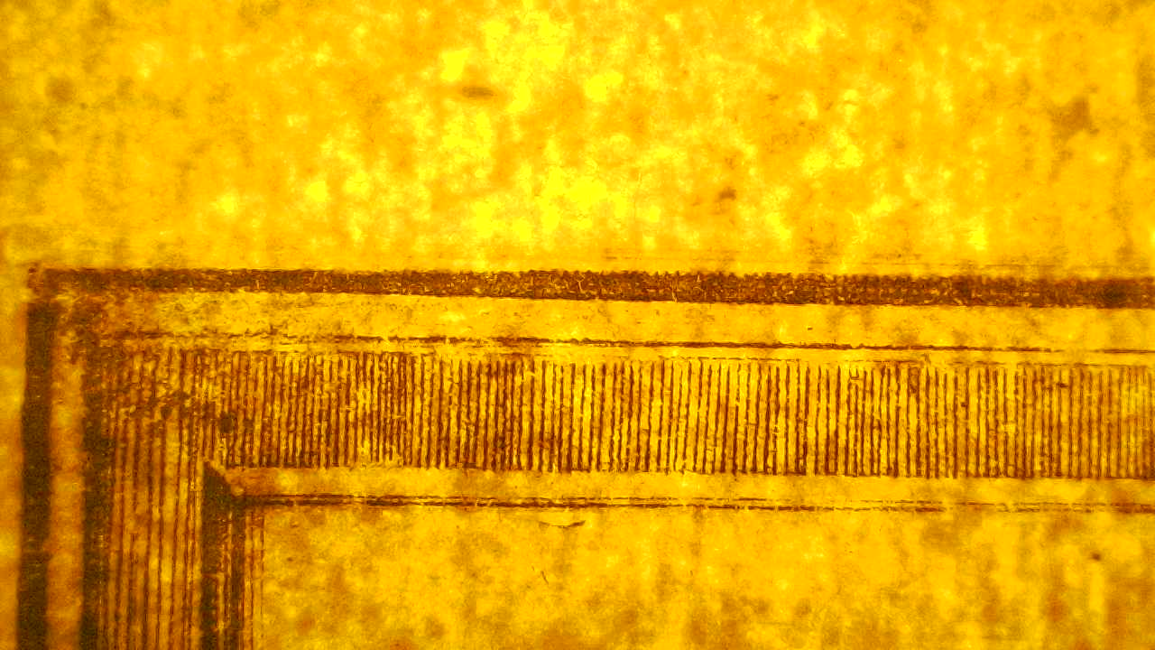 Paper fiber in transmitted light