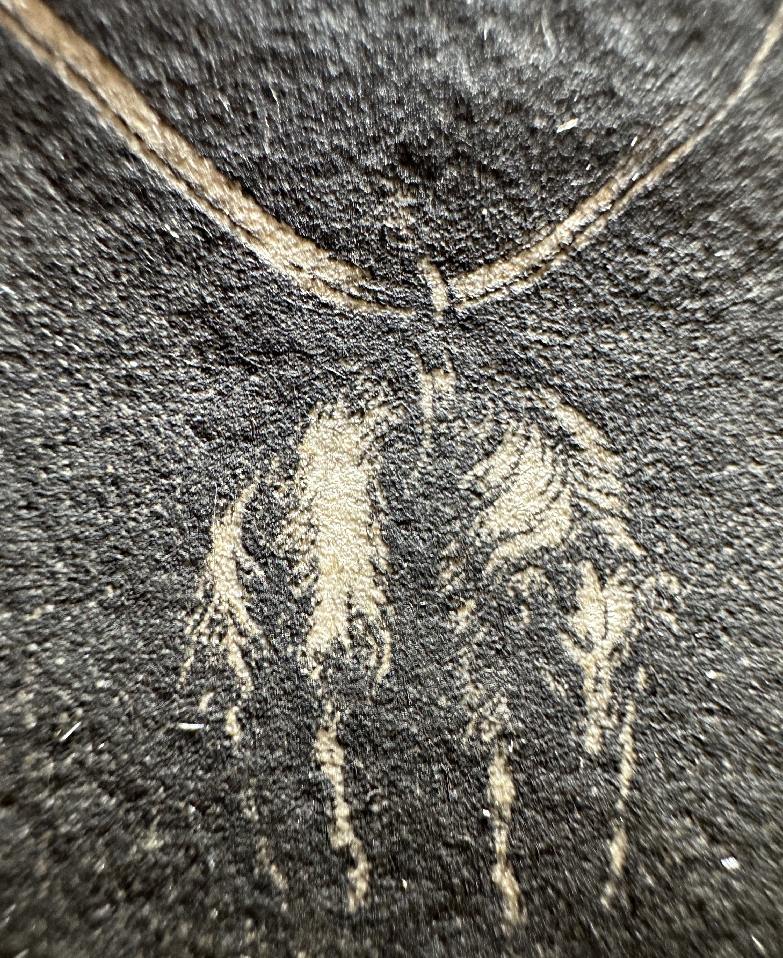 Macro Analysis of Materiality and Capillarity