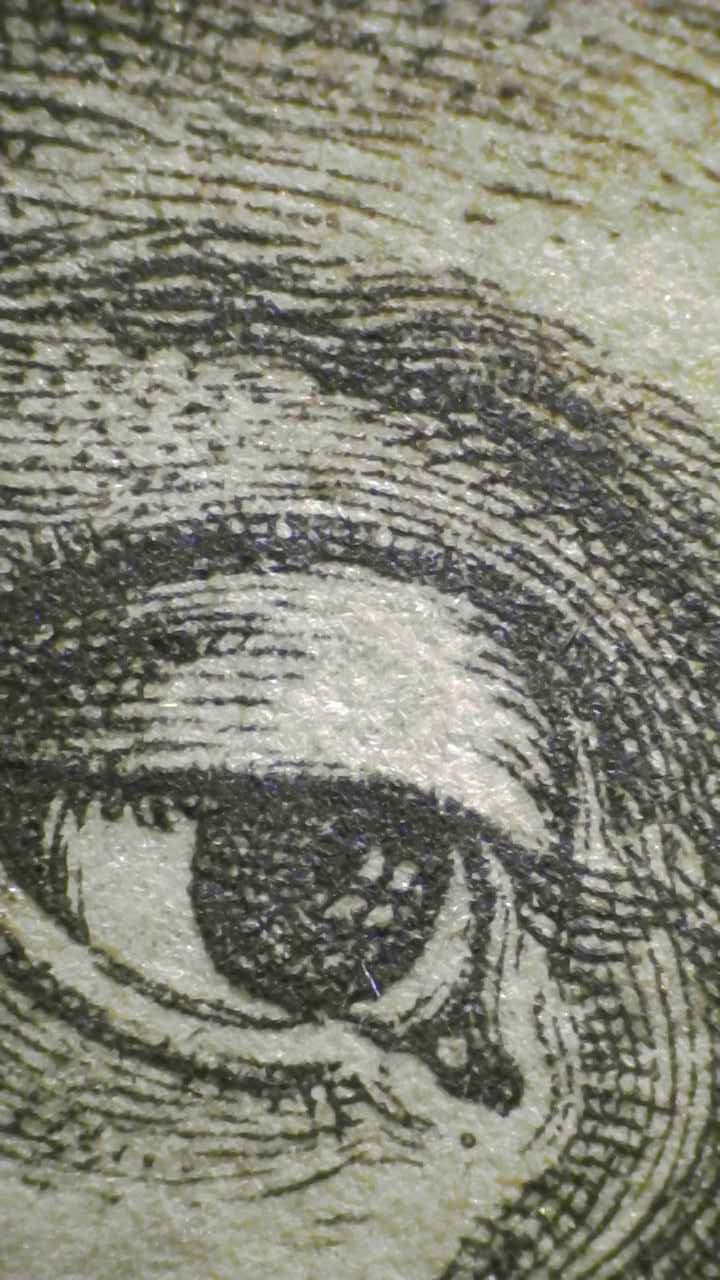 Microscopy: Anatomy of the Gaze and Precision of Engraving [Fig.5]