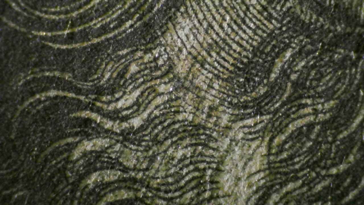 Microscopy — Engraving Marks in the Modeling of the Beard [Fig.4]