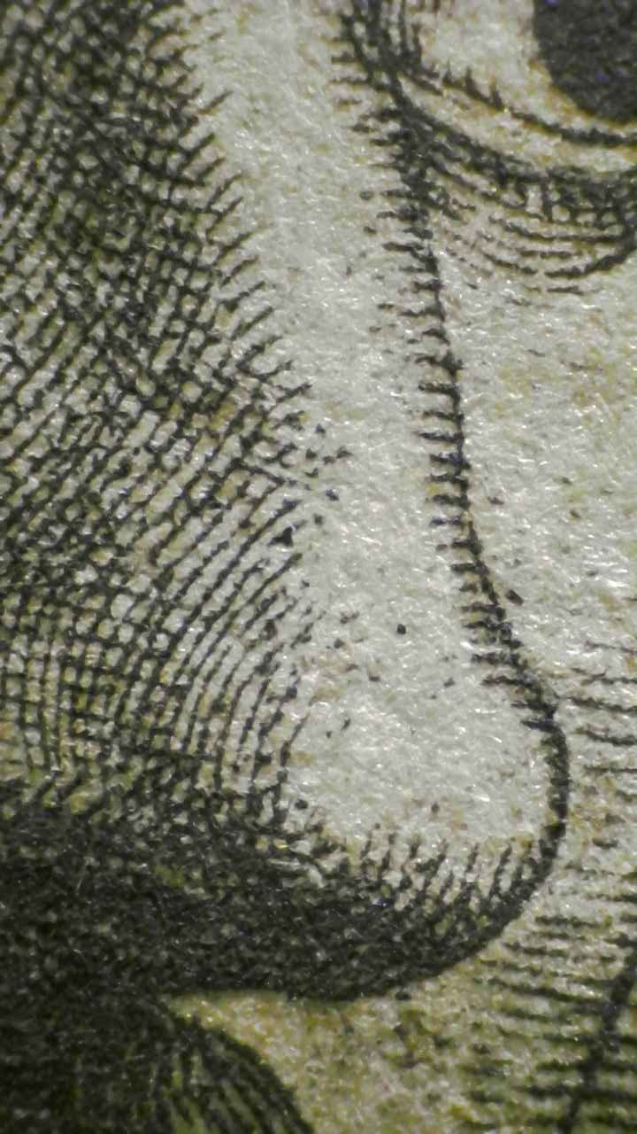 Microscopy — Facial Modeling [Fig.3]