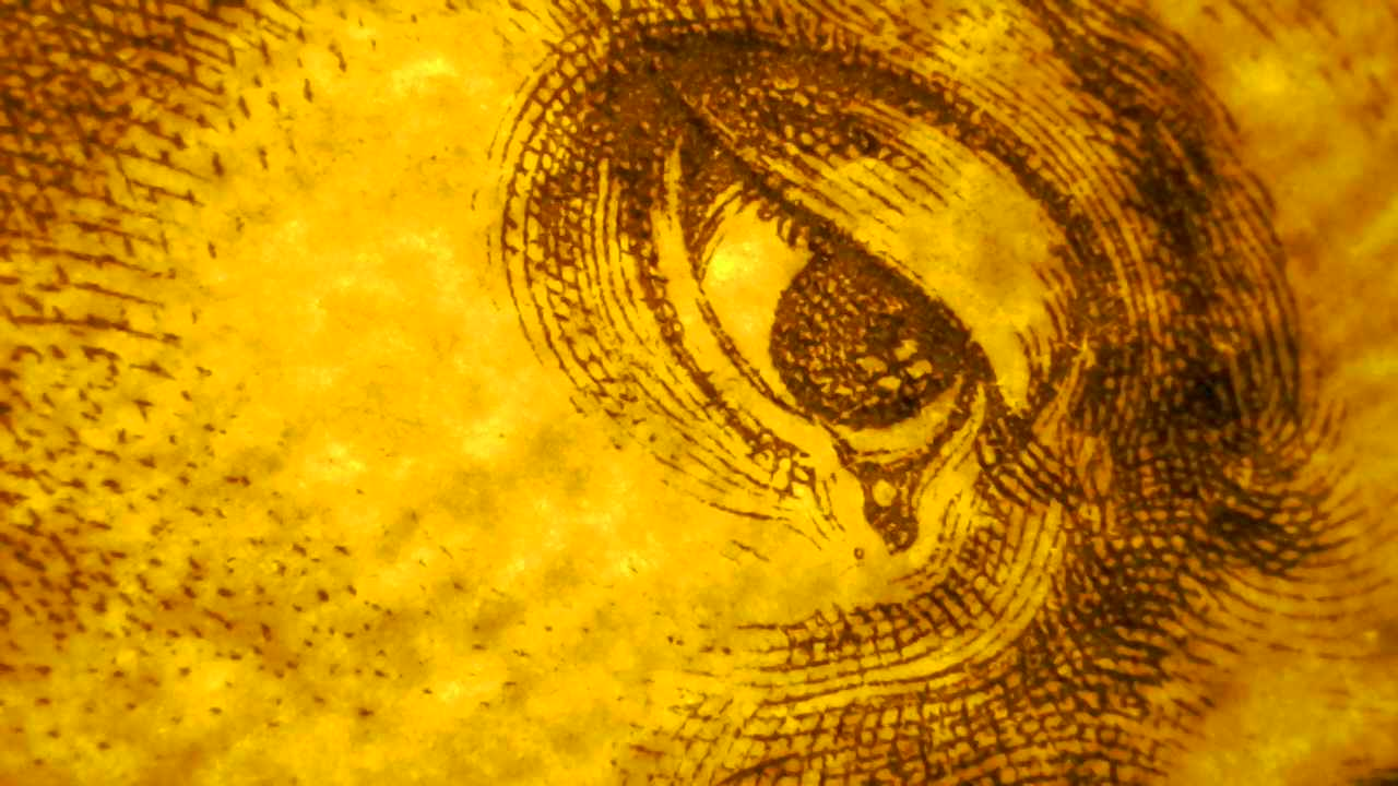 Paper texture microscope.