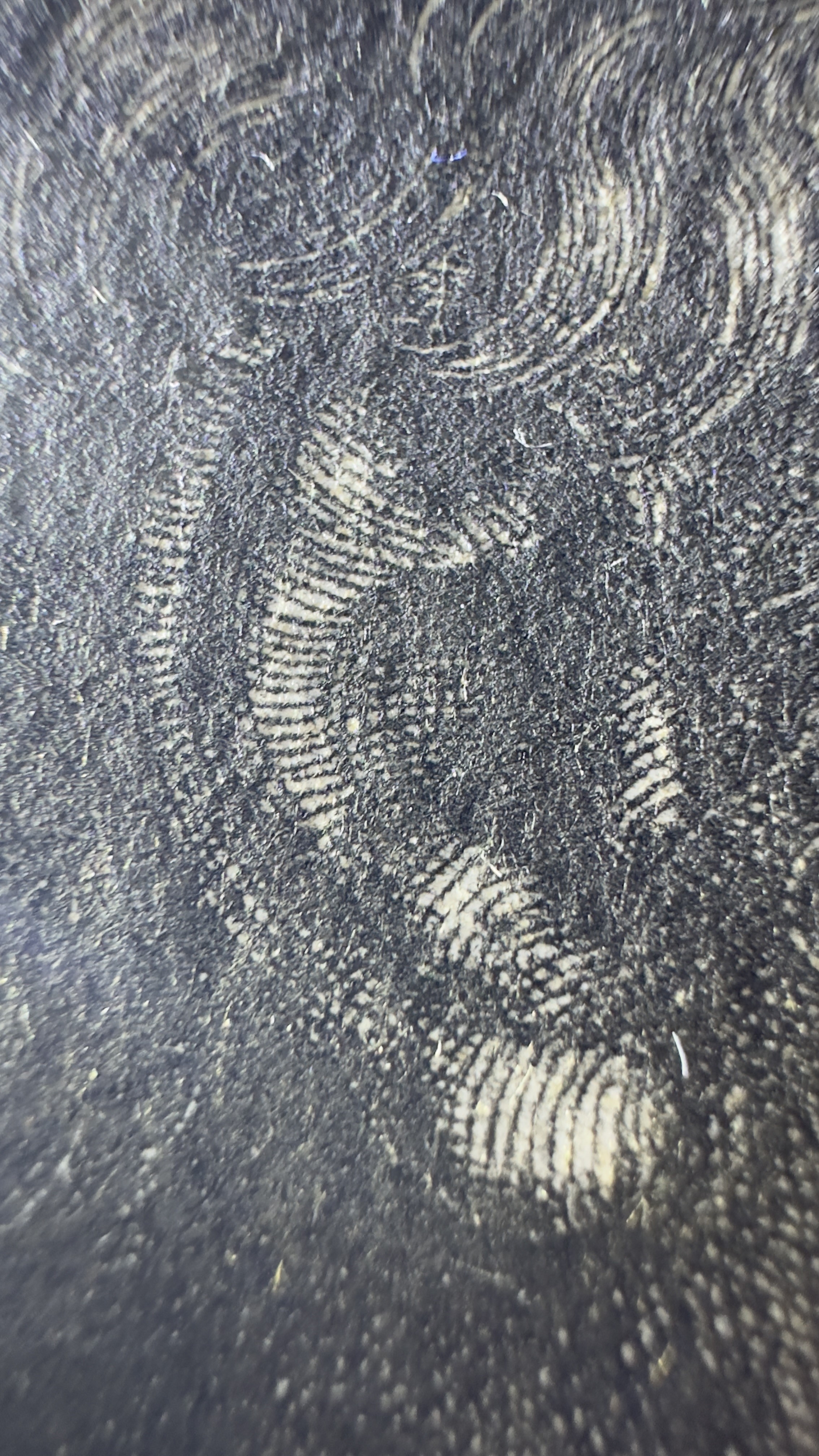 Macro Details fig 10