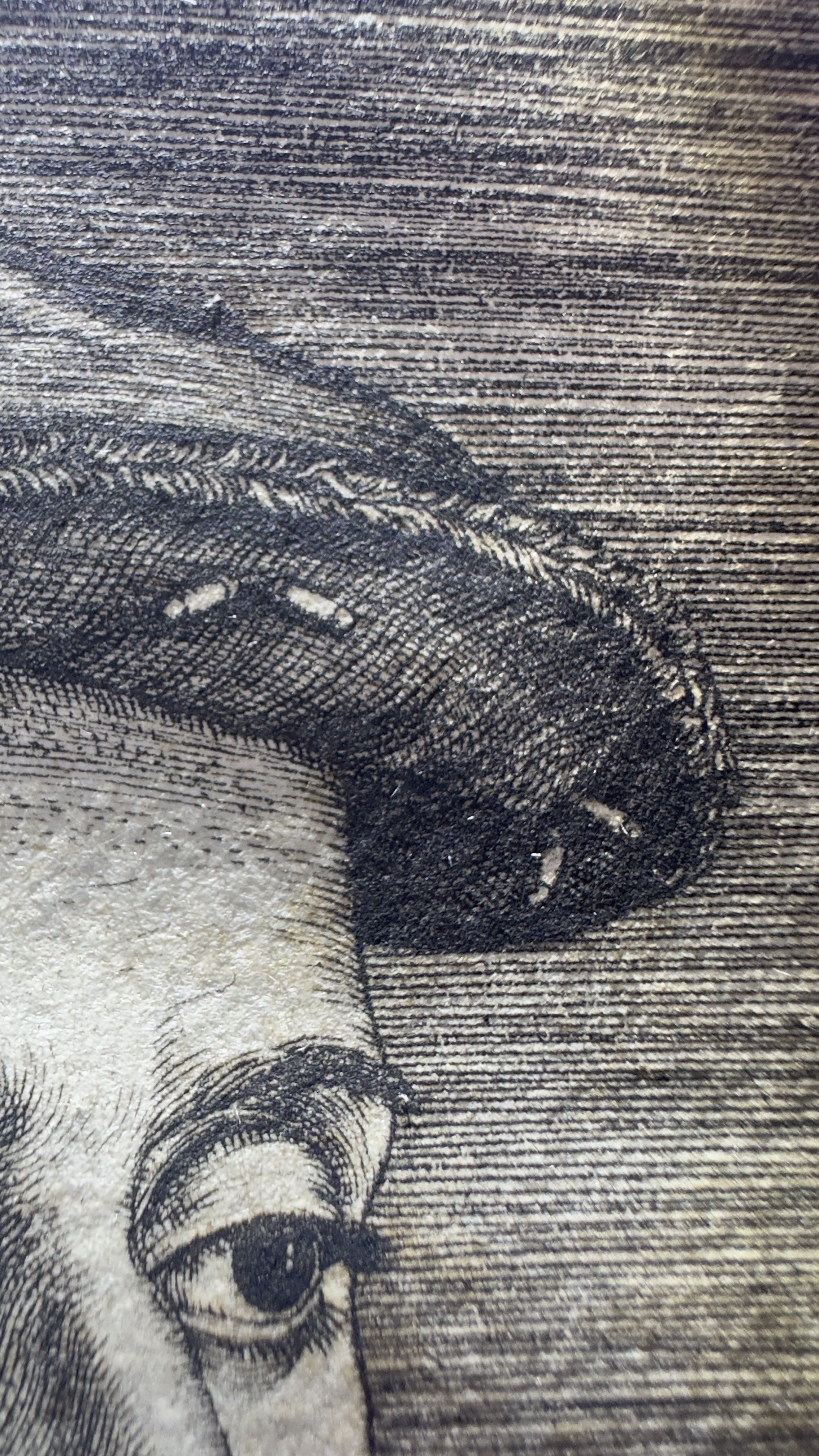 Macro Details fig 12