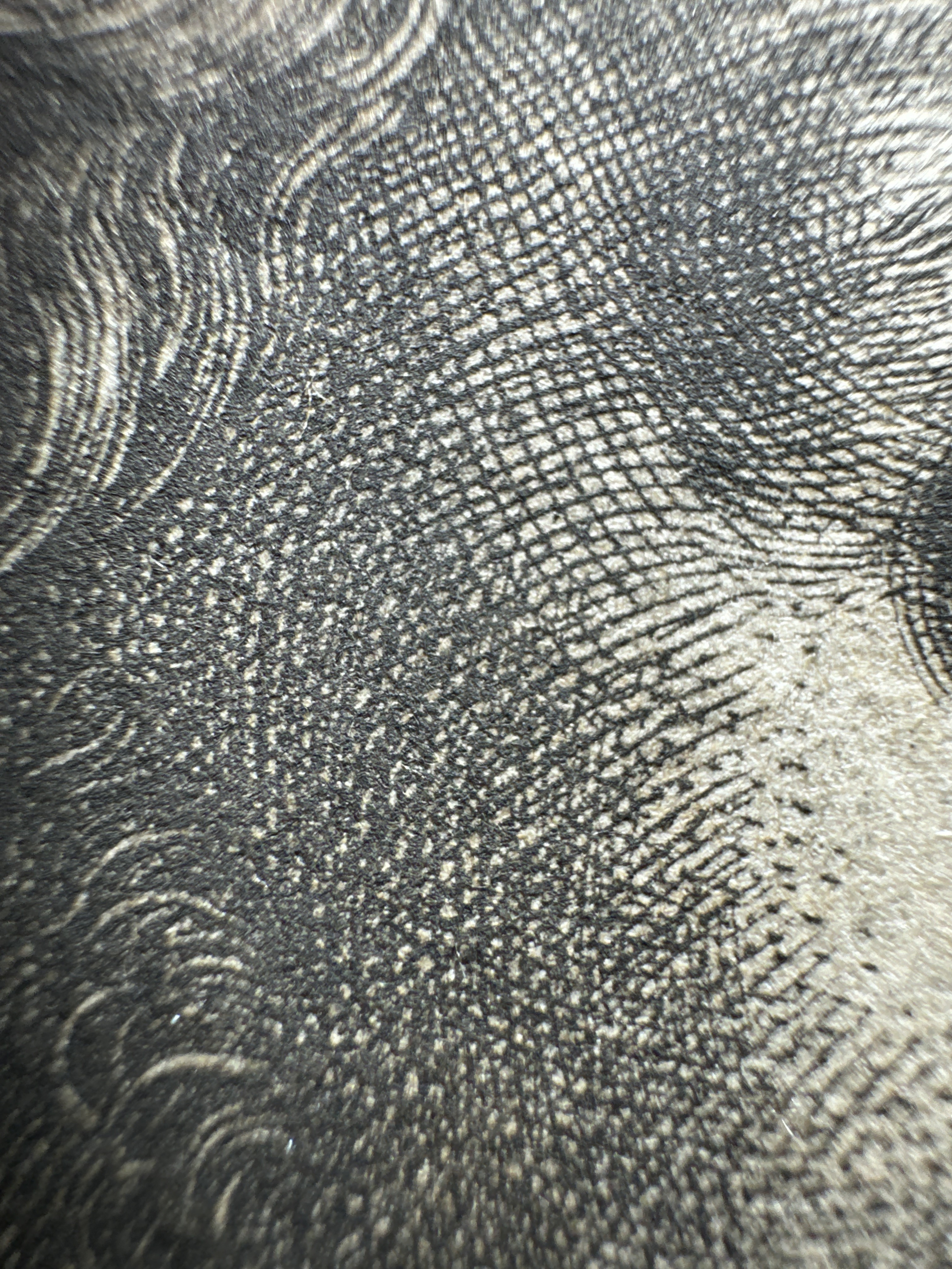 Macro Details fig 11