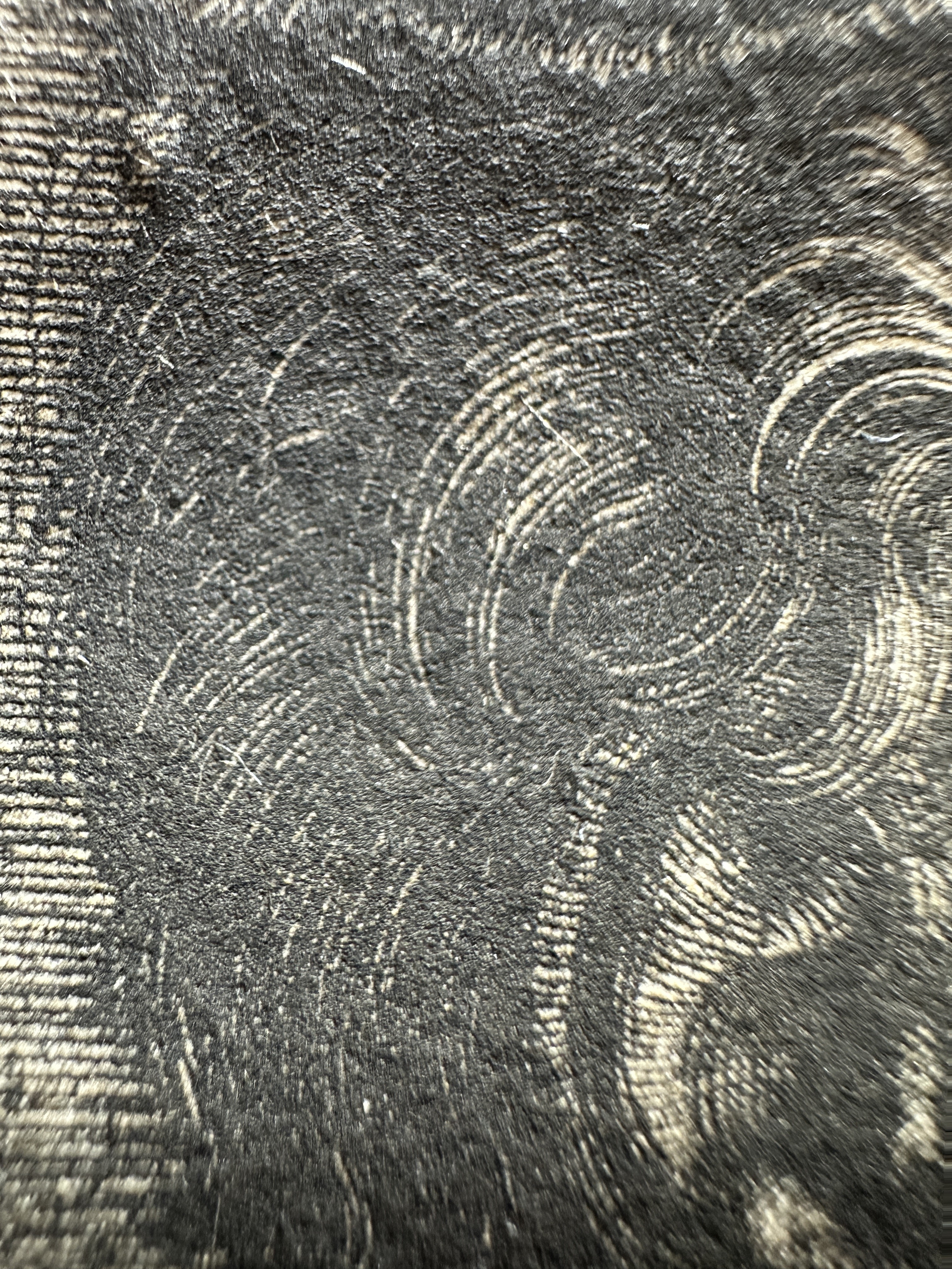 Macro Details fig 13