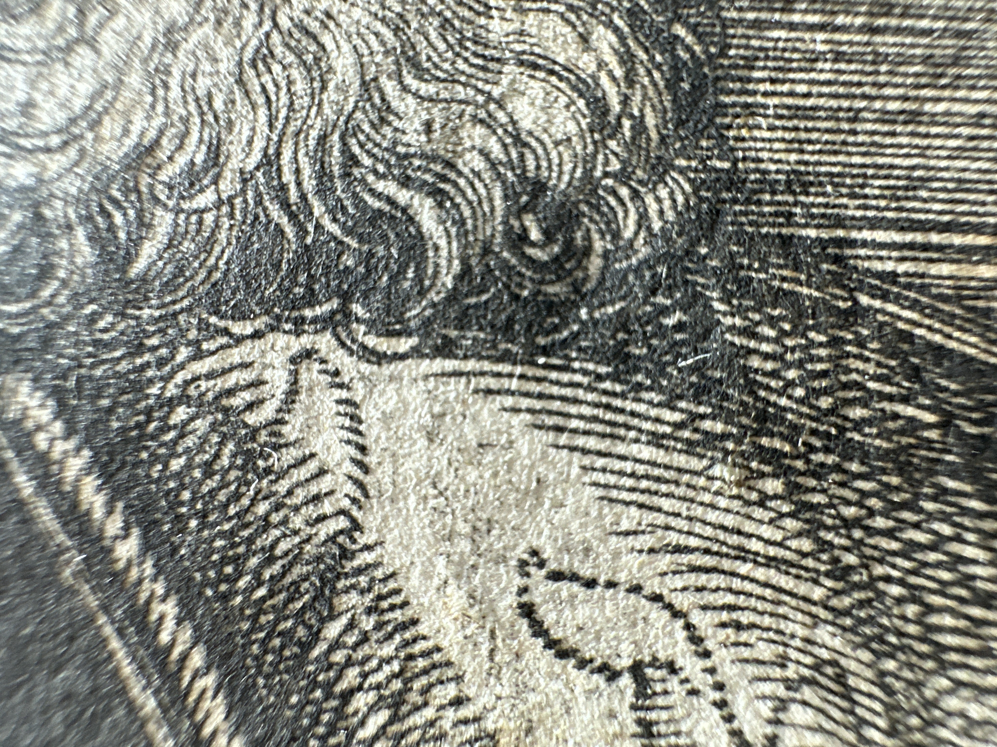 Macro Details fig 17