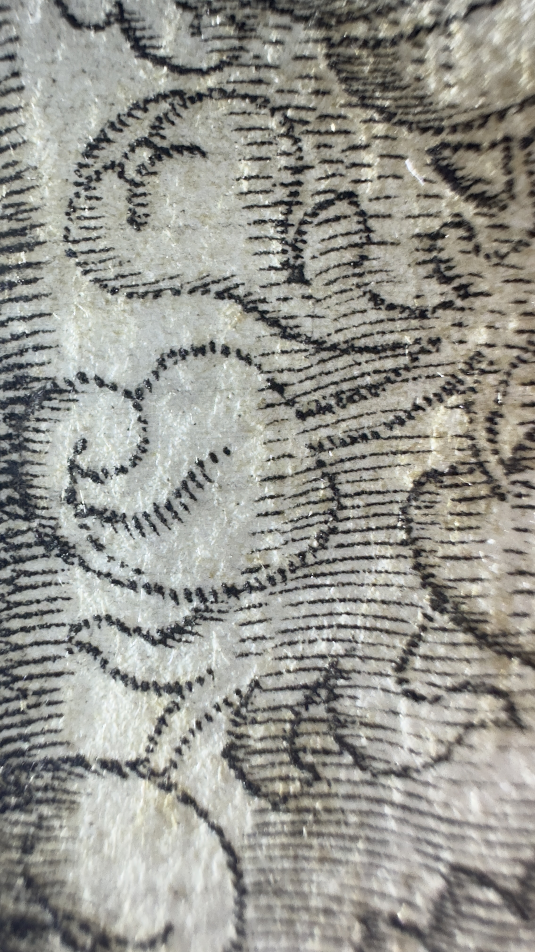 Macro Details fig 23